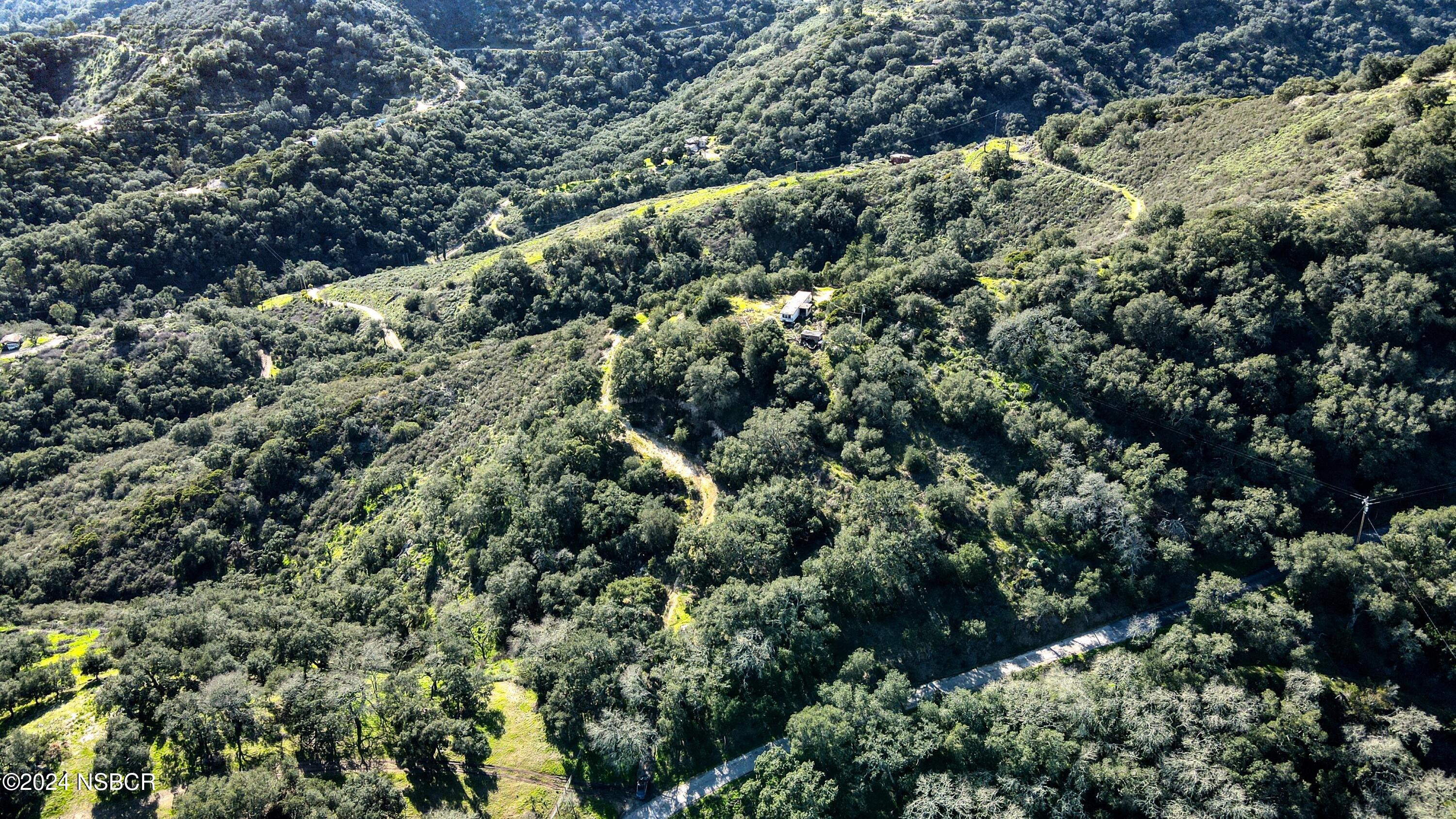 9339 Temettate Drive Santa Maria, CA 93454 - Photo 14 of 41 a view of a forest with a tree