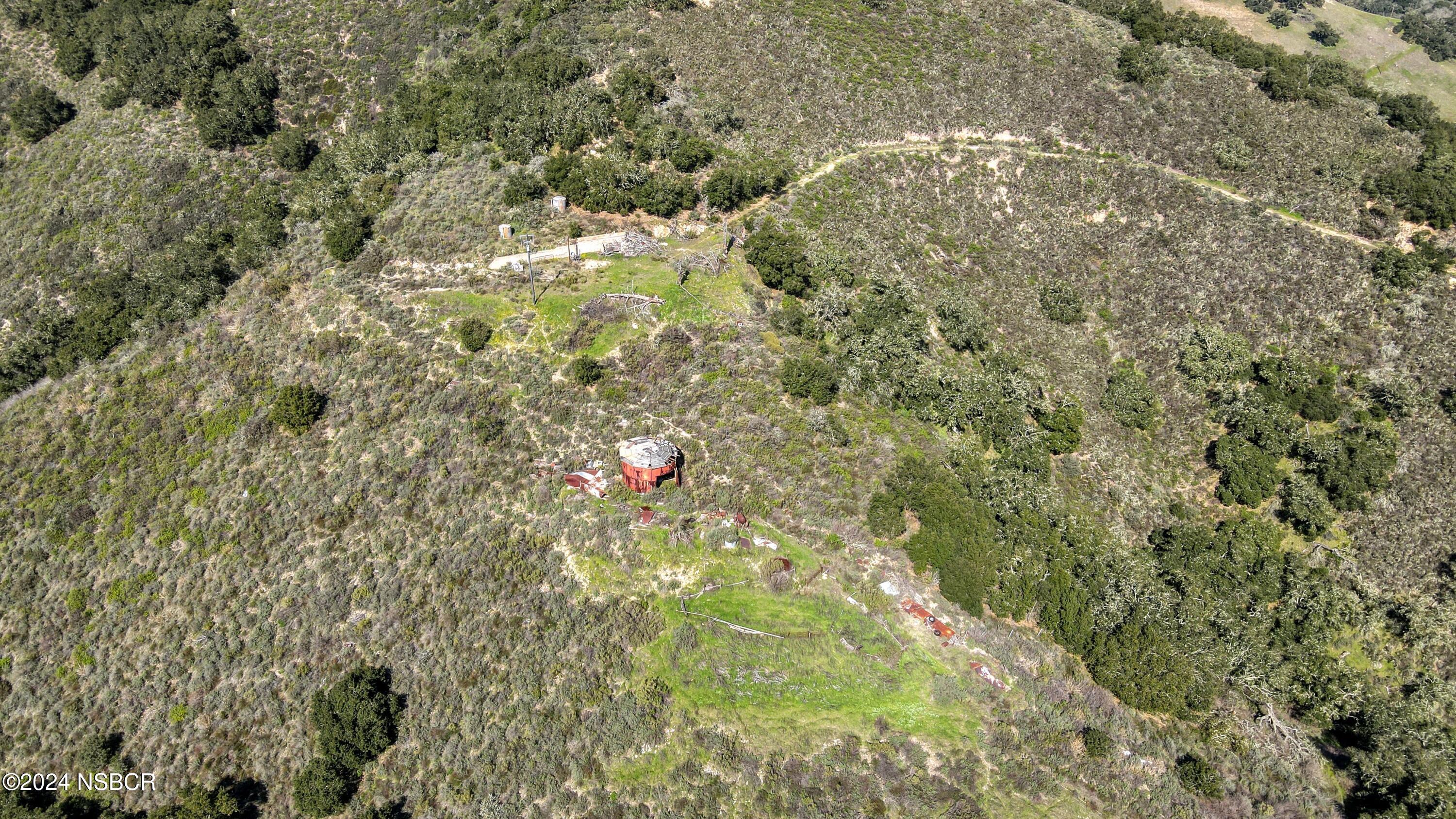9339 Temettate Drive Santa Maria, CA 93454 - Photo 20 of 41 a close up of a tree