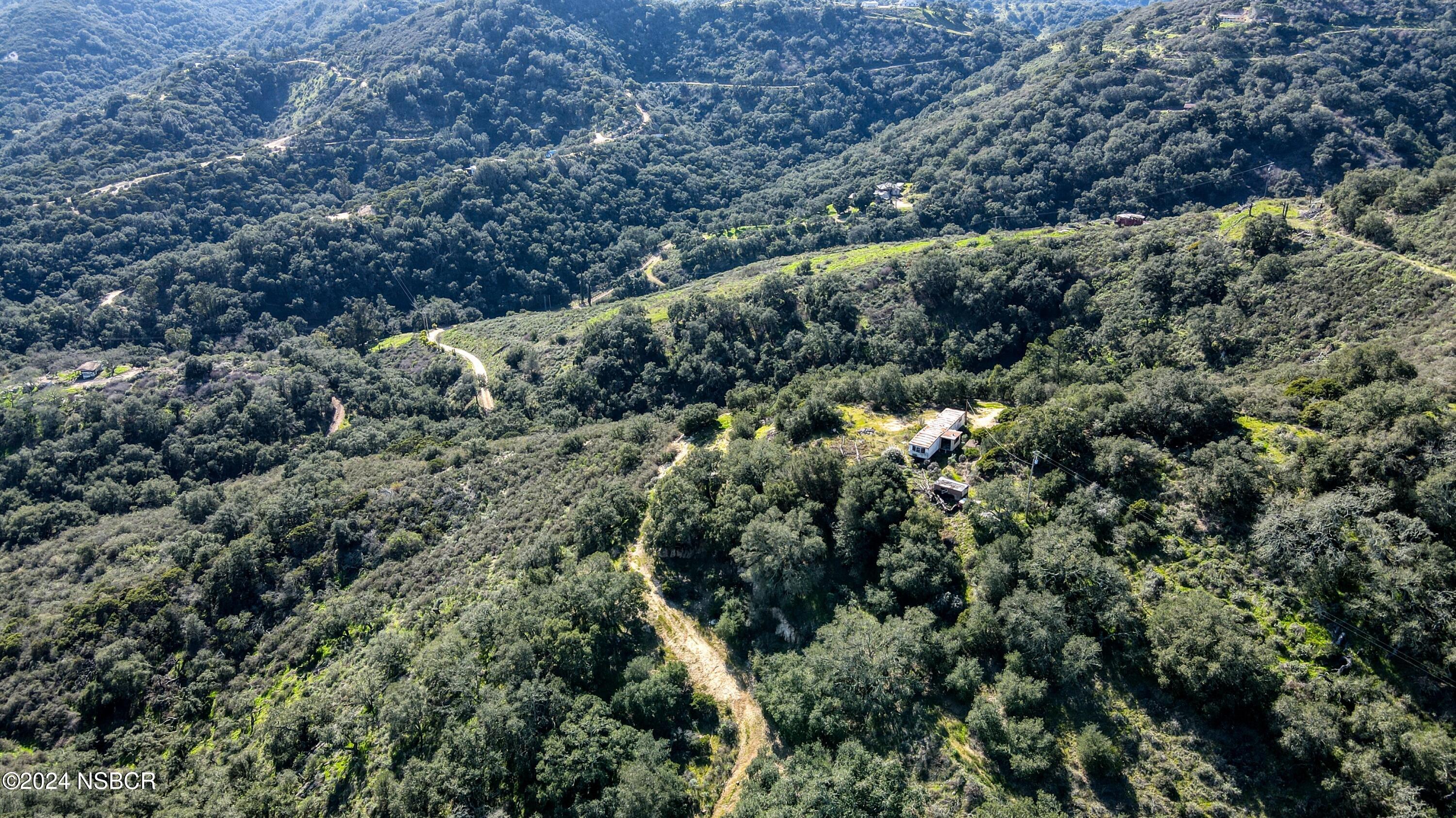 9339 Temettate Drive Santa Maria, CA 93454 - Photo 29 of 41 a view of a forest with a tree