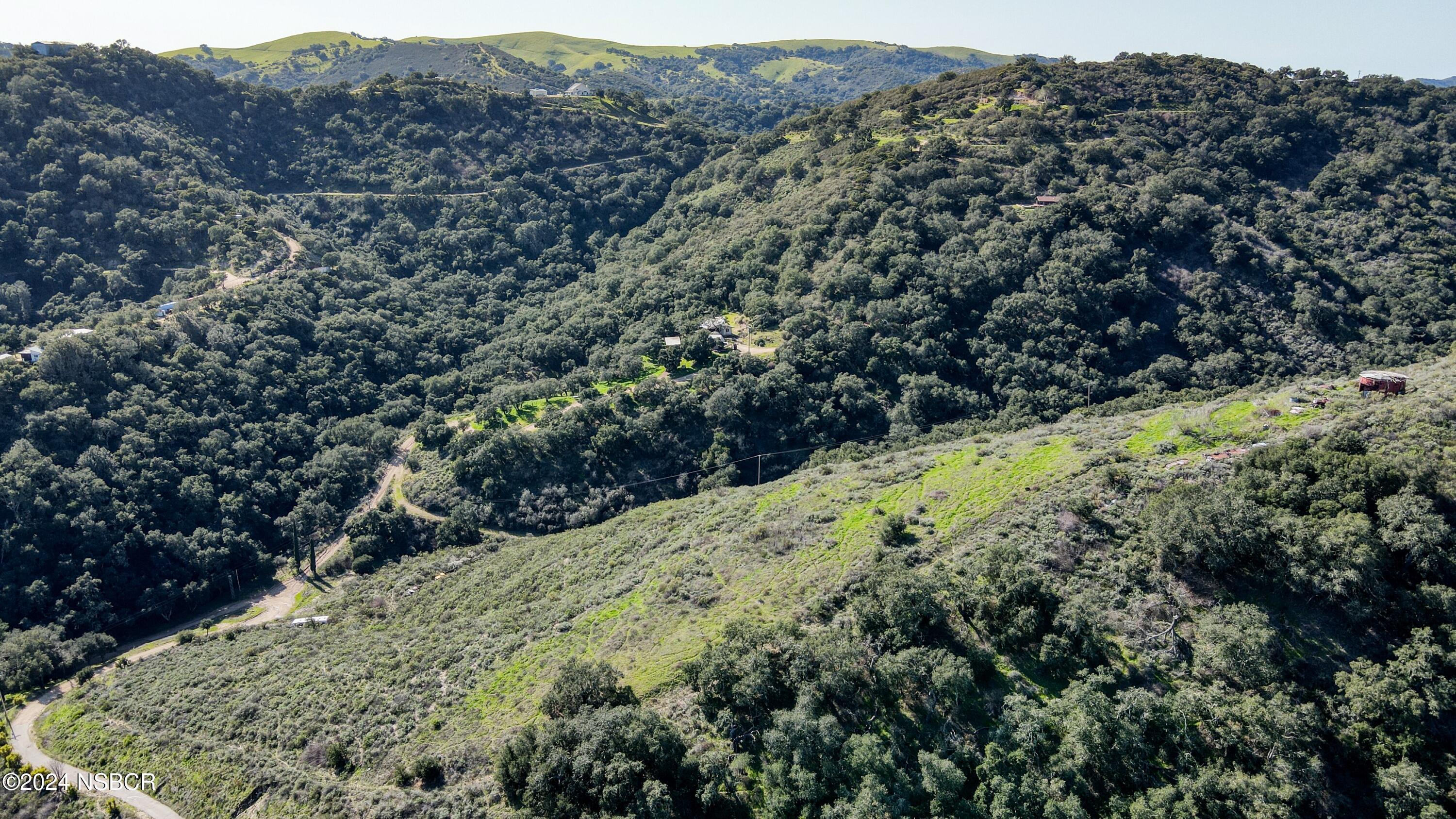 9339 Temettate Drive Santa Maria, CA 93454 - Photo 31 of 41 a view of a forest with a forest