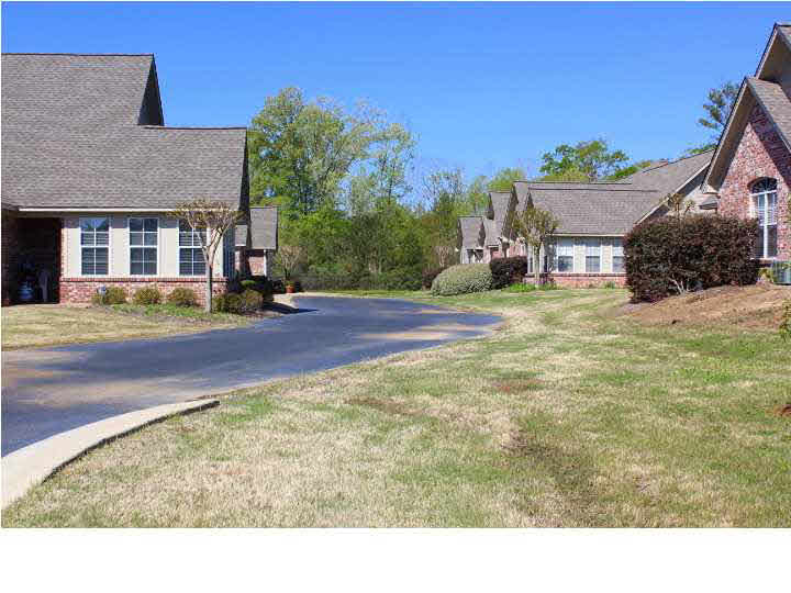 802 Charmant Place Ridgeland, MS 39157 - Photo 44 of 47 Street View