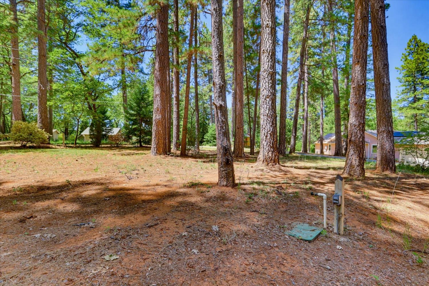 11575 Shockley Road Grass Valley, CA 95945 - Photo 76 of 92