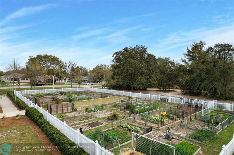 9857 Southwest 99th Loop Ocala, FL 34481 - Photo 37 of 45 a view of a lake with a yard
