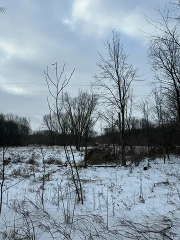 $115,000 | Vacant Lan East Vacant Lan E Dowling, Hastings, MI 49058