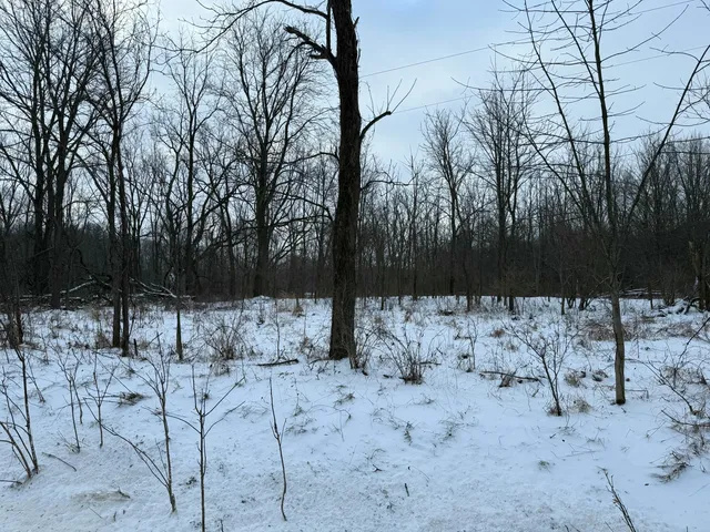 $115,000 | Vacant Lan East Vacant Lan E Dowling, Hastings, MI 49058