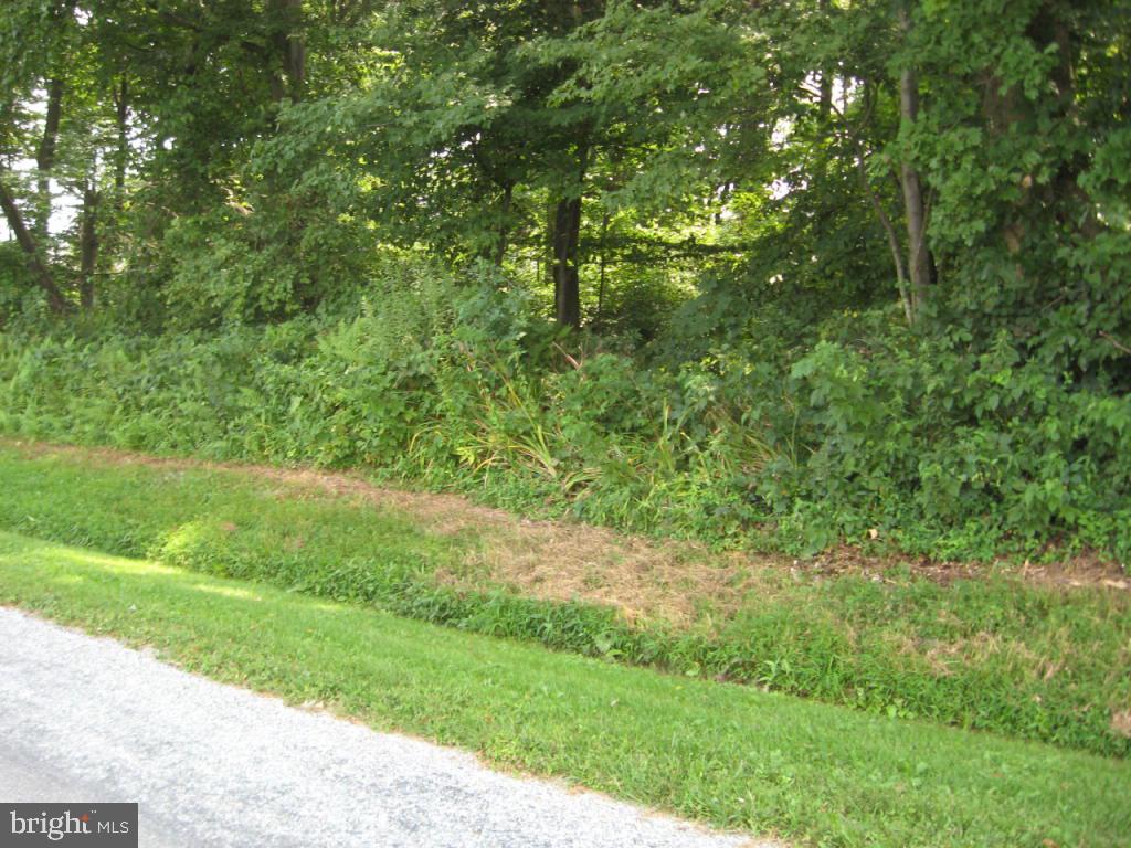 0 Fulton Britain Road, Unit 1 Peach Bottom, PA 17563 - Photo 1 of 1 Gallery Image 1