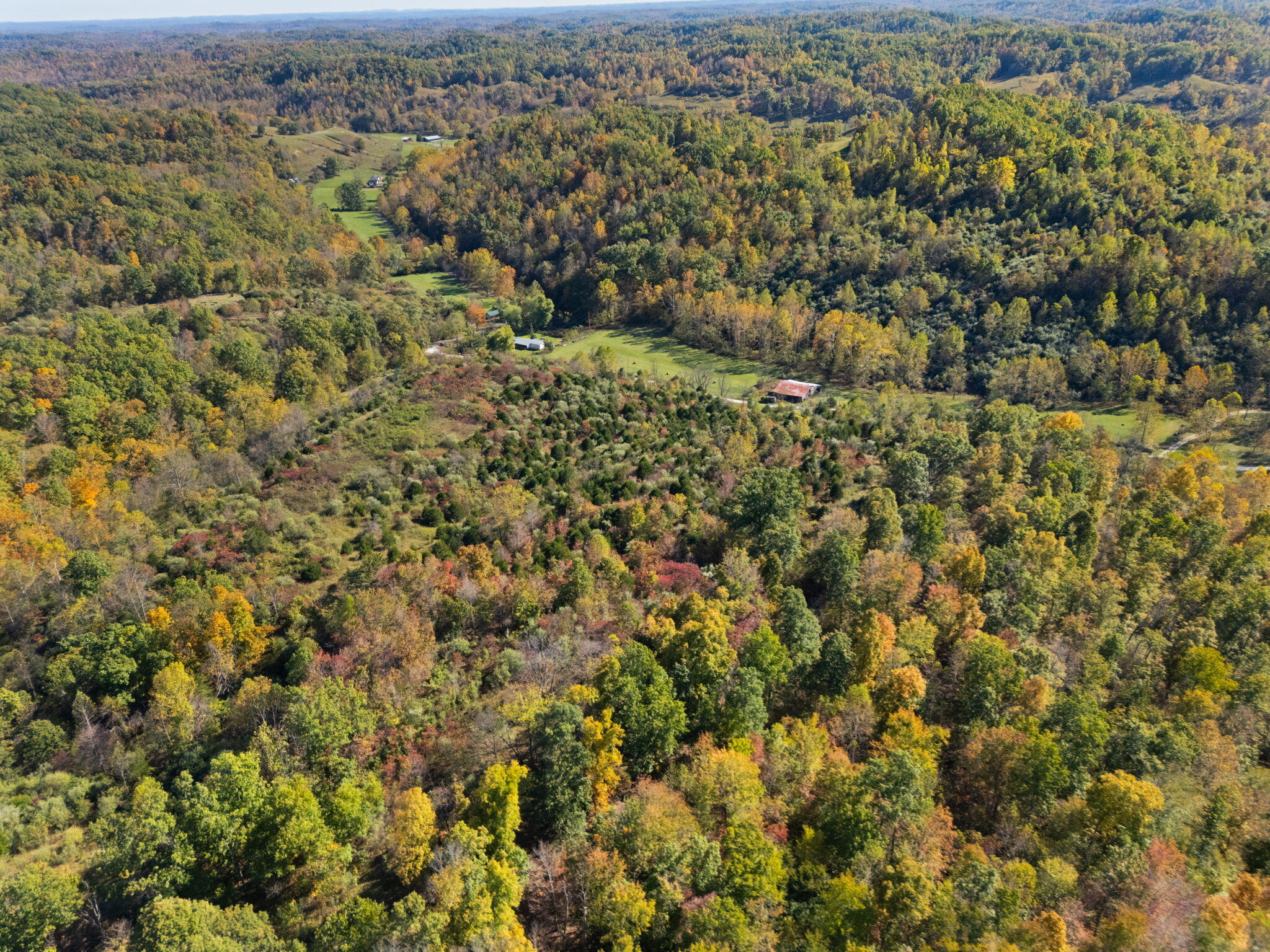 27 All Horn Branch Road Denton, KY 41132 - Photo 58 of 60 67-web-or-mls-DJI_20241018151153_0309_D