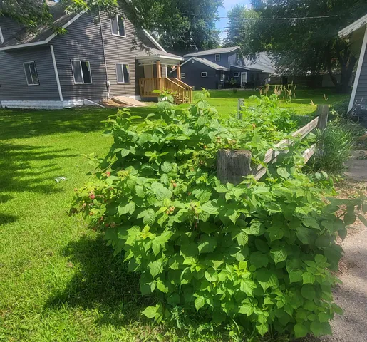 $275,000 | 409 2nd Avenue South, Long Prairie, MN 56347