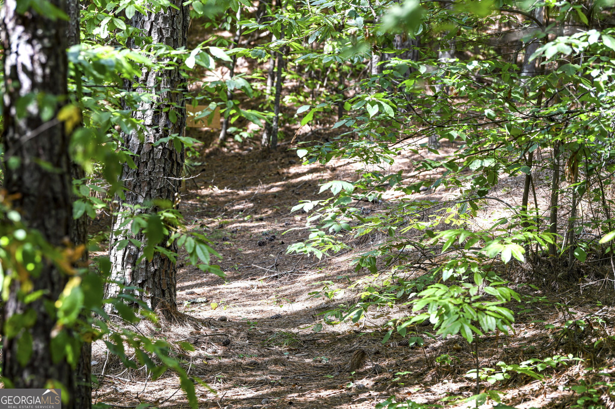 271 Postelle Road Copperhill, TN 37317 - Photo 43 of 67