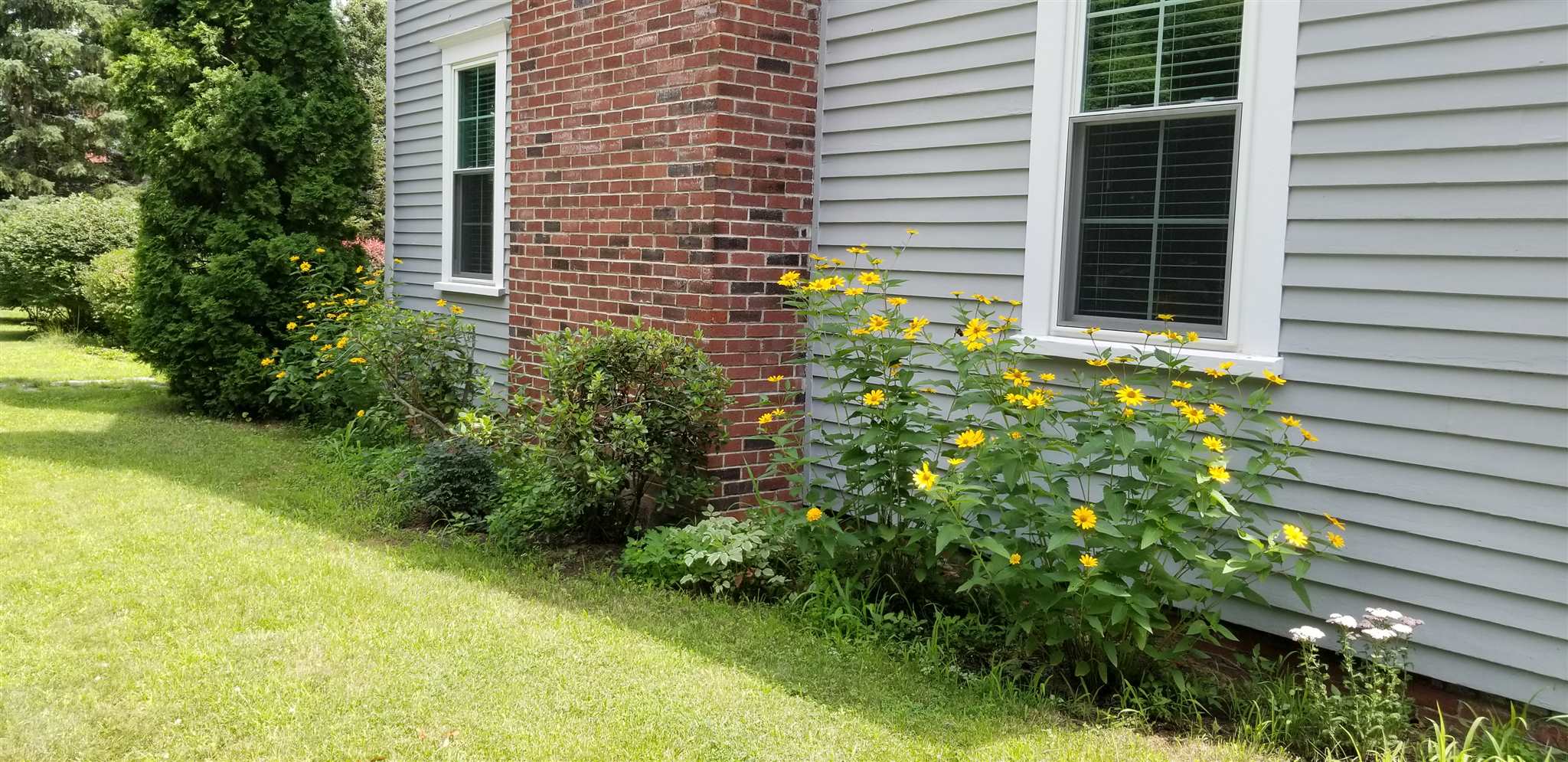 13 Pleasant Street Newfields, NH 03856 - Photo 35 of 40