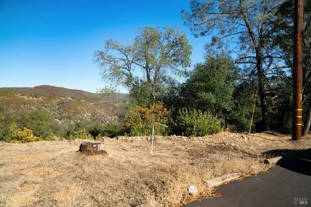 a view of a snow in the middle of a yard