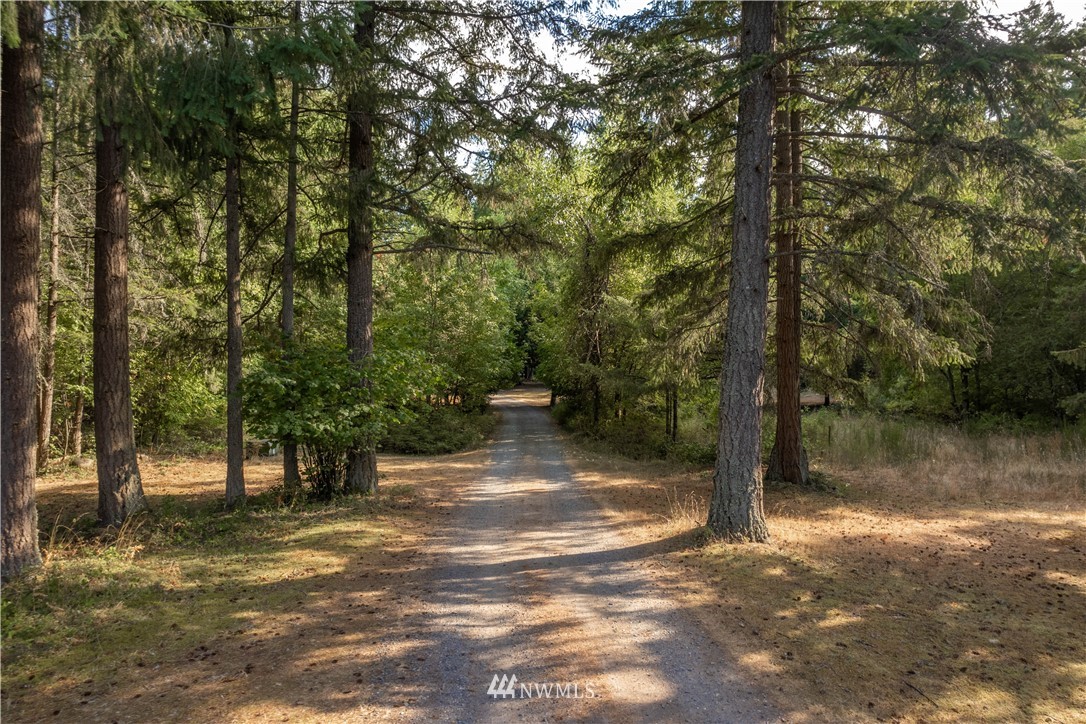 16520 Reichel Road Southeast Rainier, WA 98576 - Photo 3 of 40 Gallery Image 3