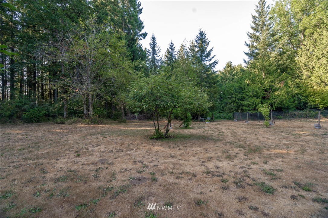 16520 Reichel Road Southeast Rainier, WA 98576 - Photo 38 of 40 Gallery Image 38