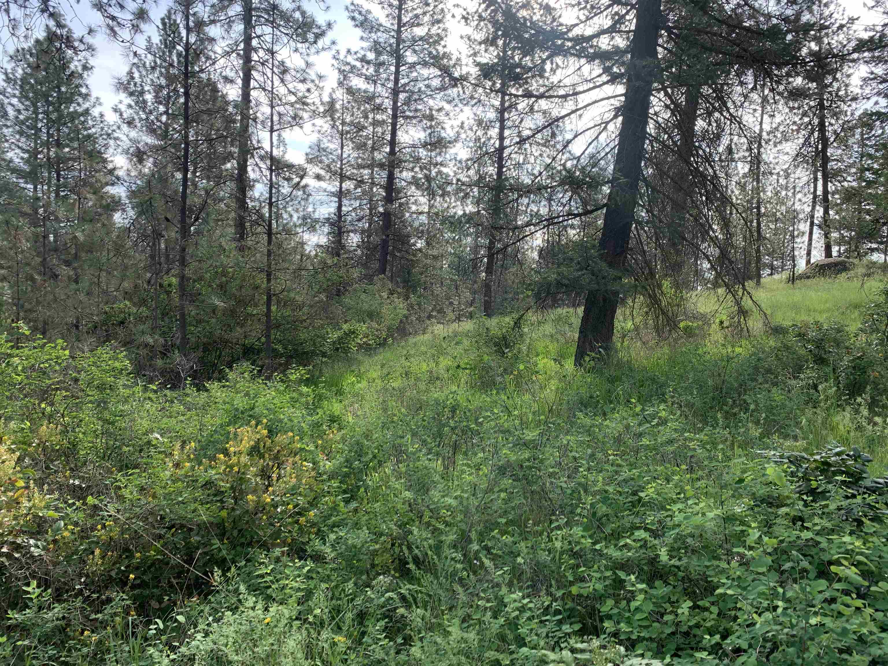 160-xx North Austin Road Spokane, WA 99208 - Photo 11 of 32