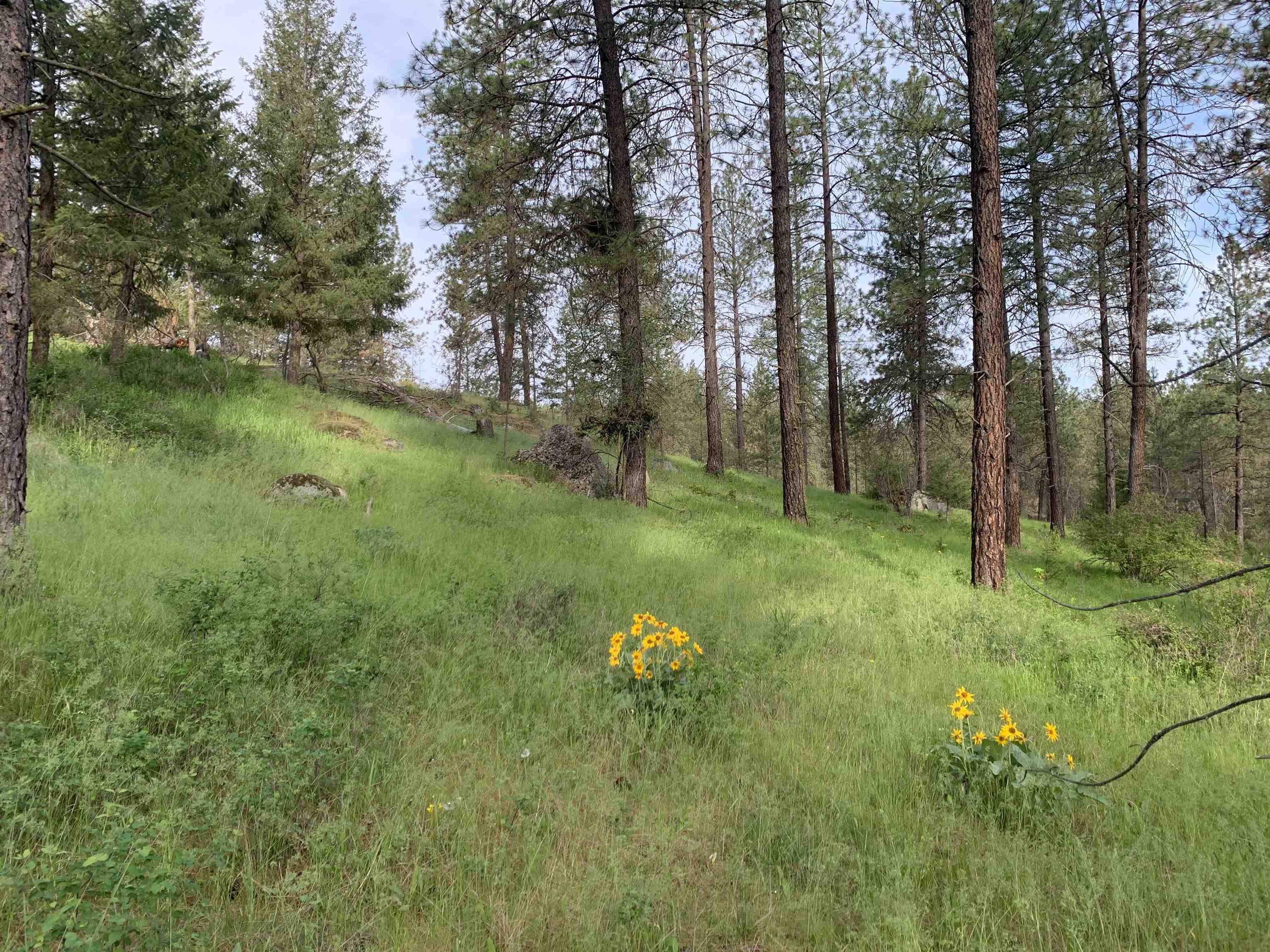 160-xx North Austin Road Spokane, WA 99208 - Photo 12 of 32