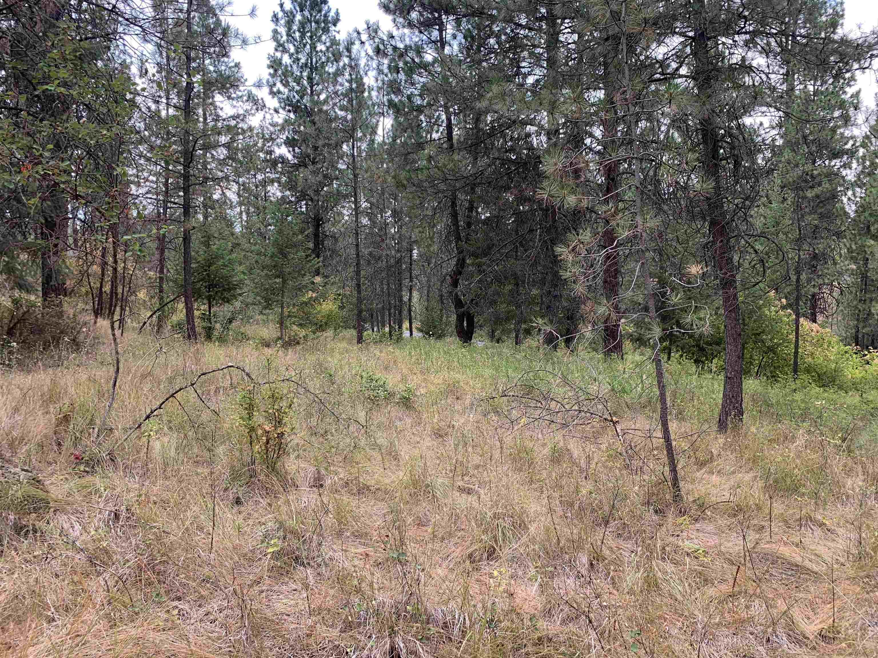 160-xx North Austin Road Spokane, WA 99208 - Photo 13 of 16