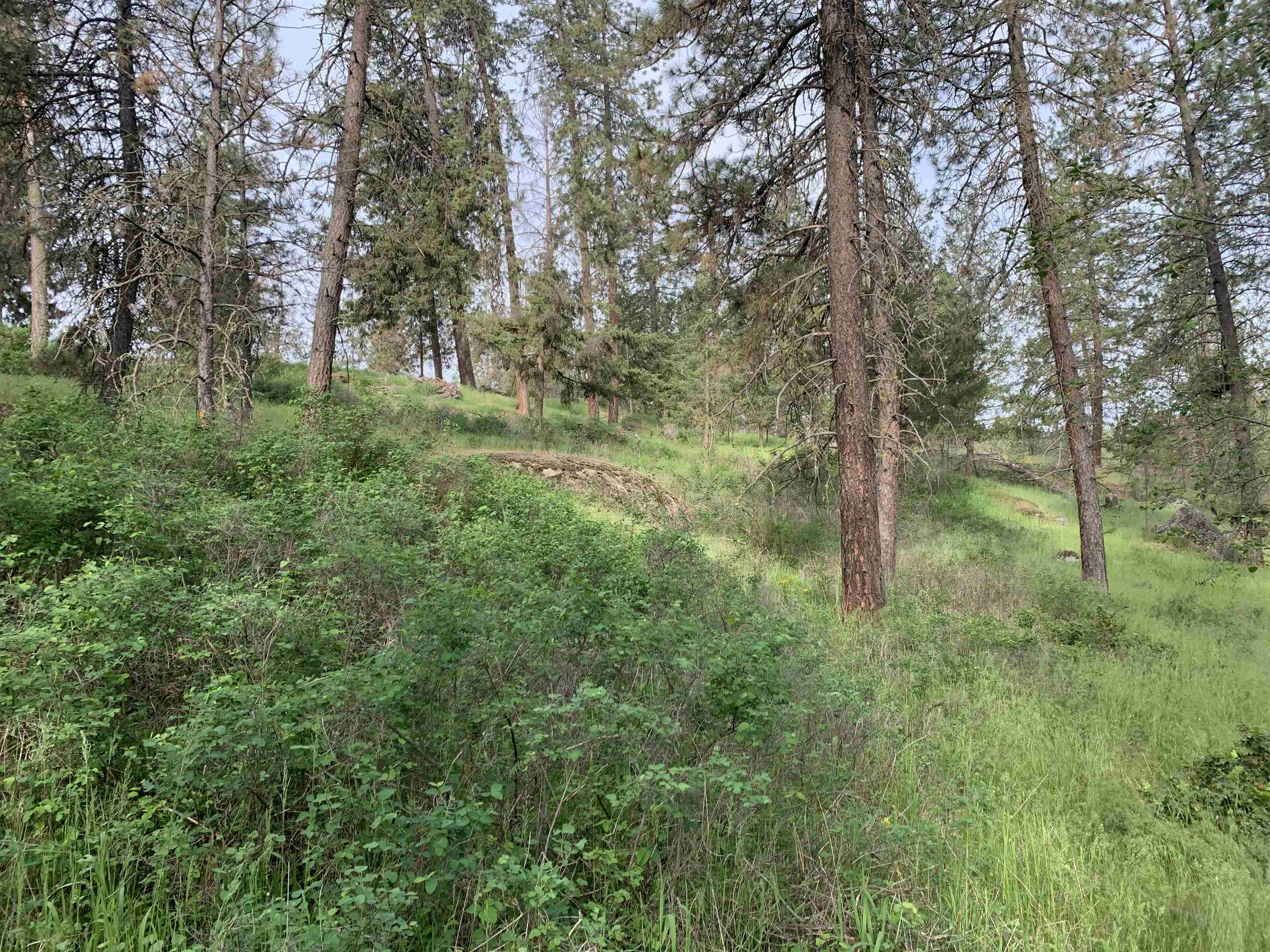 160-xx North Austin Road Spokane, WA 99208 - Photo 13 of 32