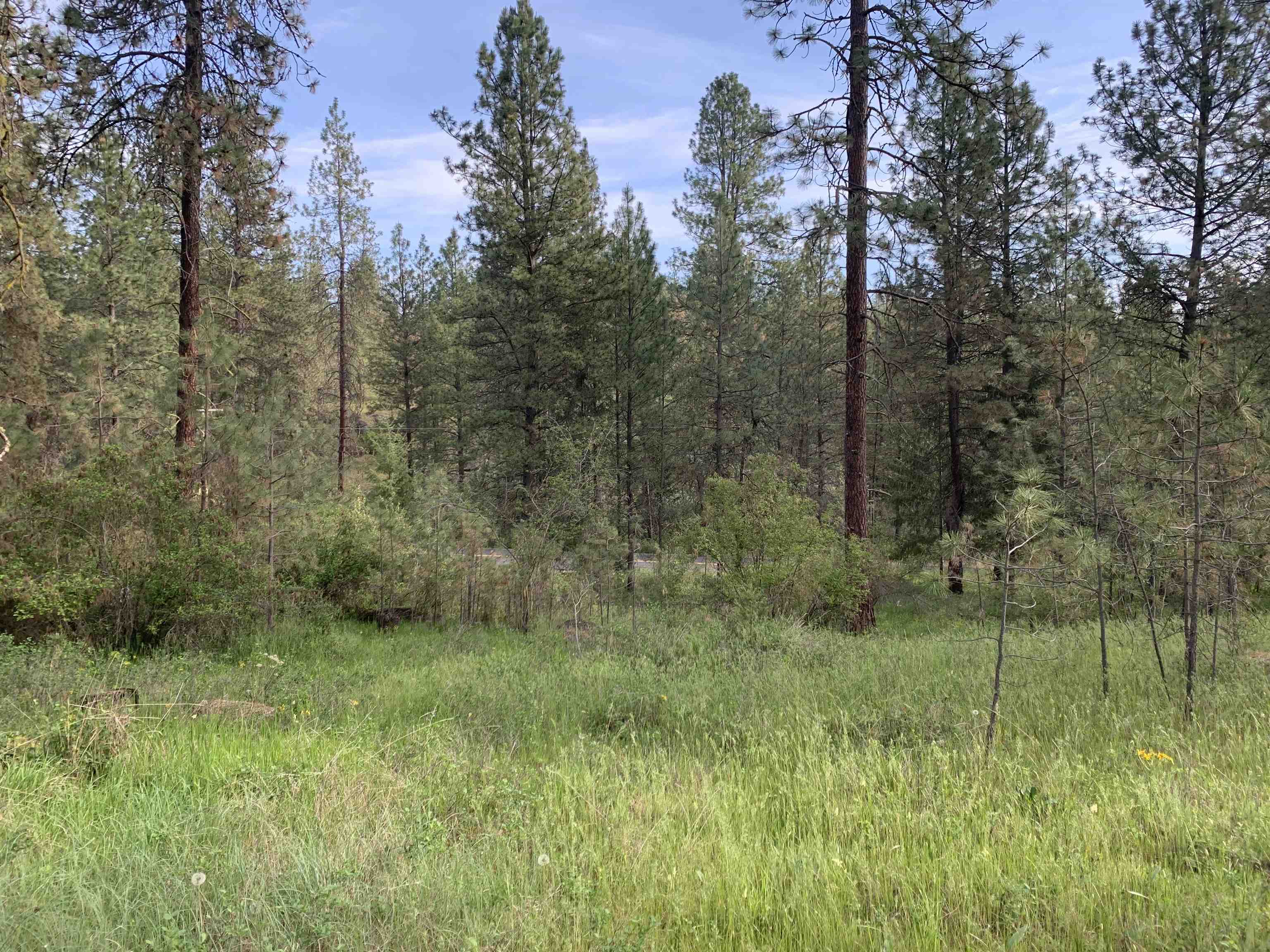 160-xx North Austin Road Spokane, WA 99208 - Photo 14 of 32