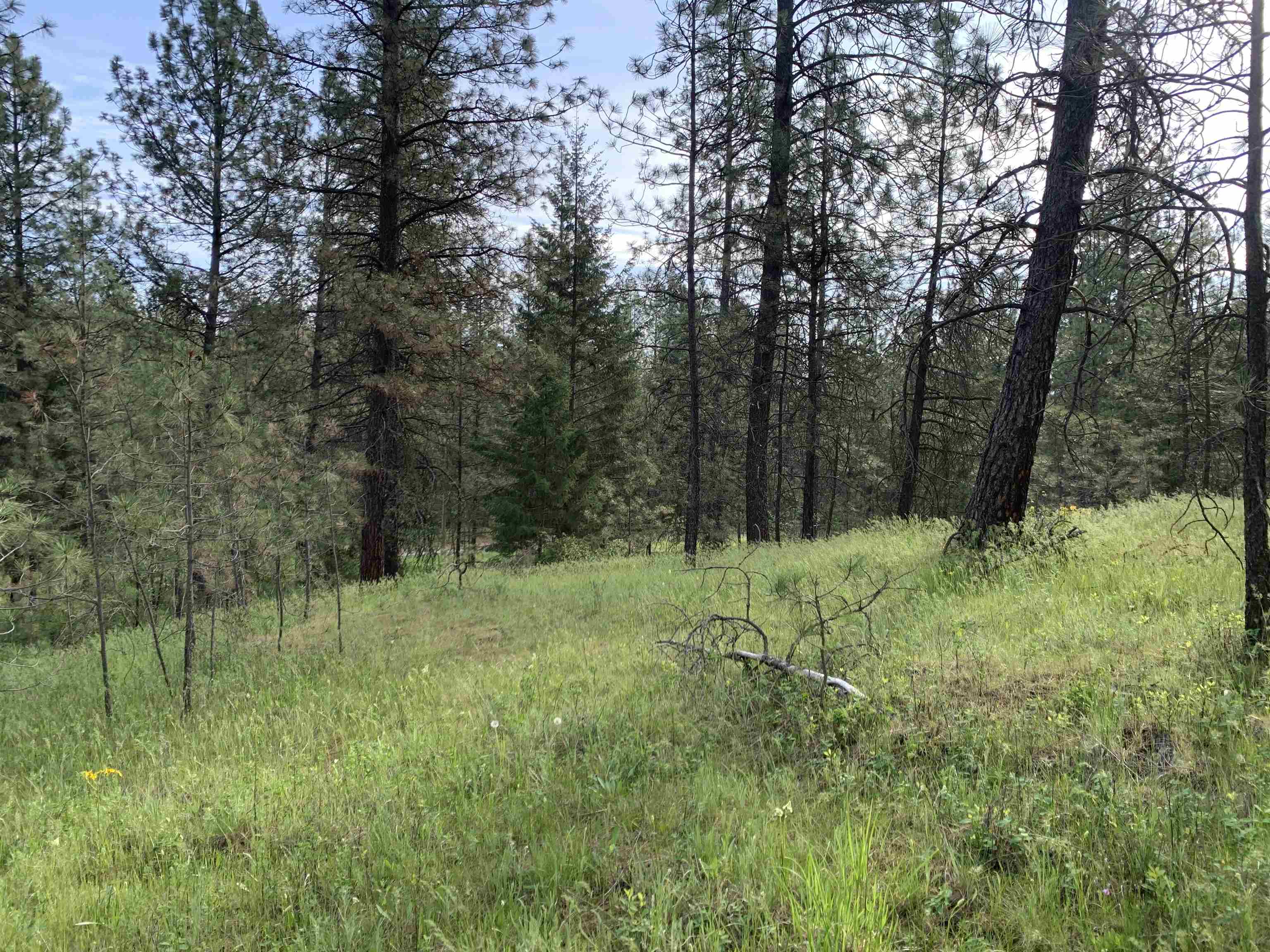160-xx North Austin Road Spokane, WA 99208 - Photo 15 of 32
