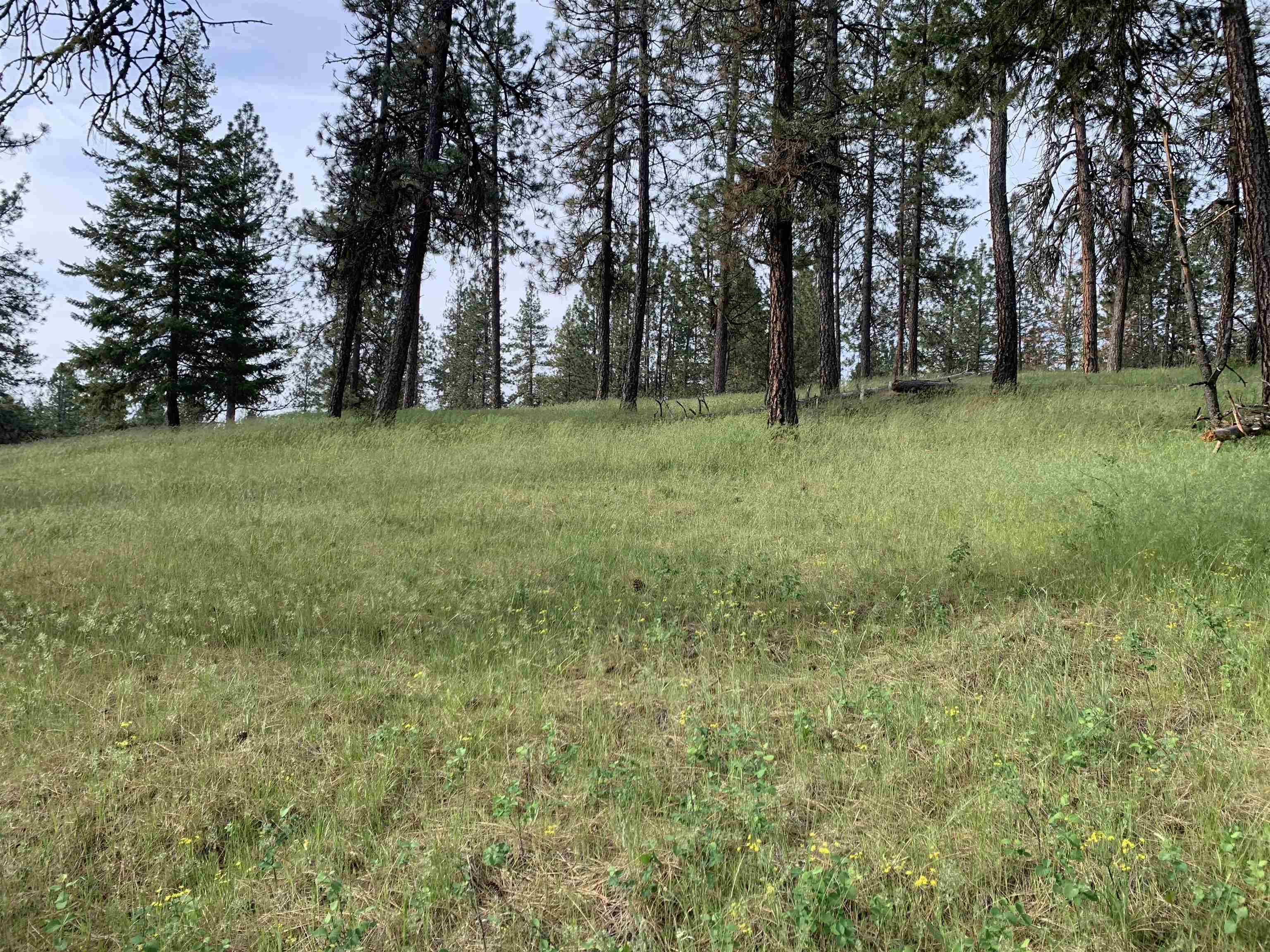 160-xx North Austin Road Spokane, WA 99208 - Photo 16 of 32