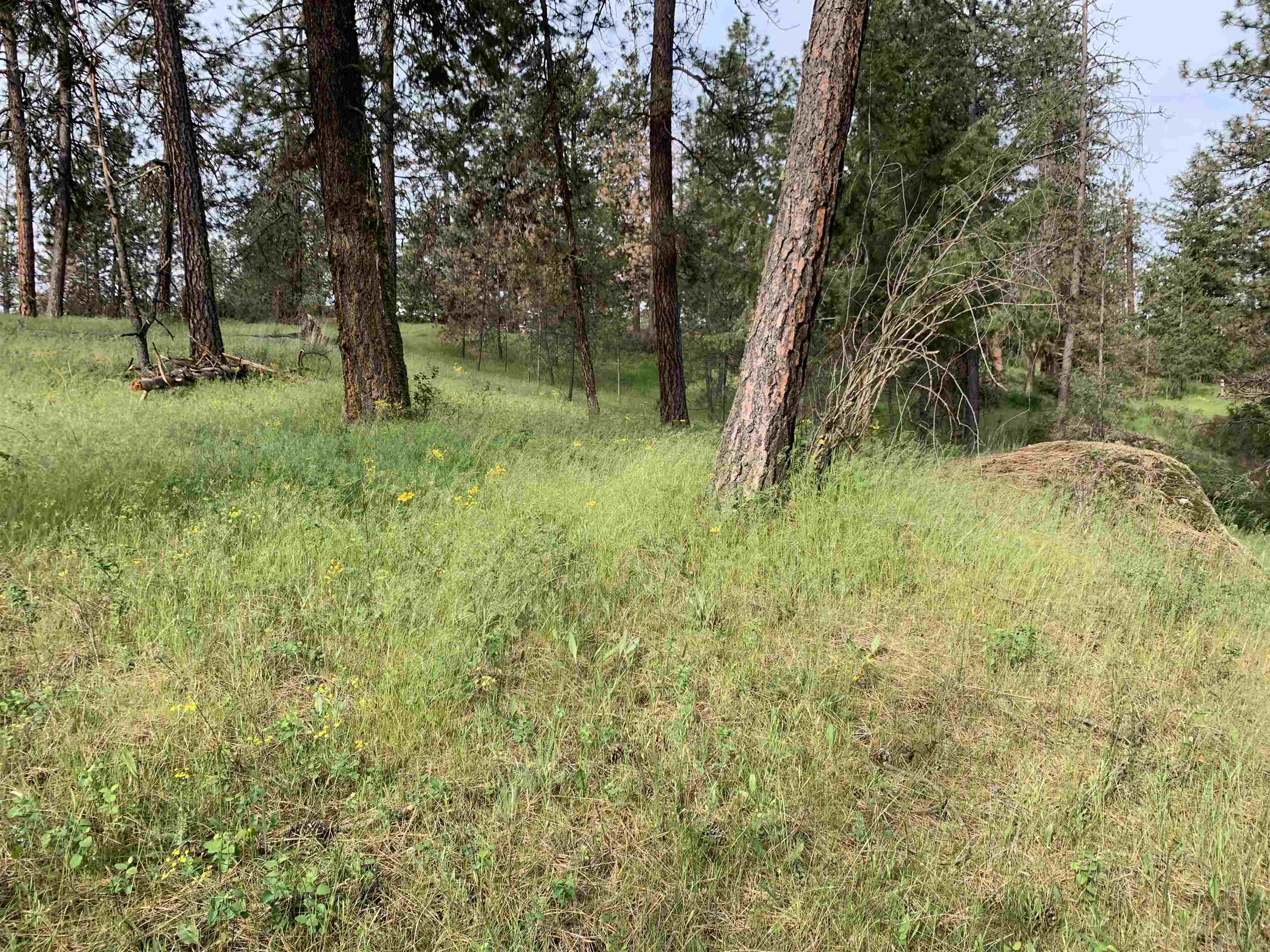 160-xx North Austin Road Spokane, WA 99208 - Photo 17 of 32