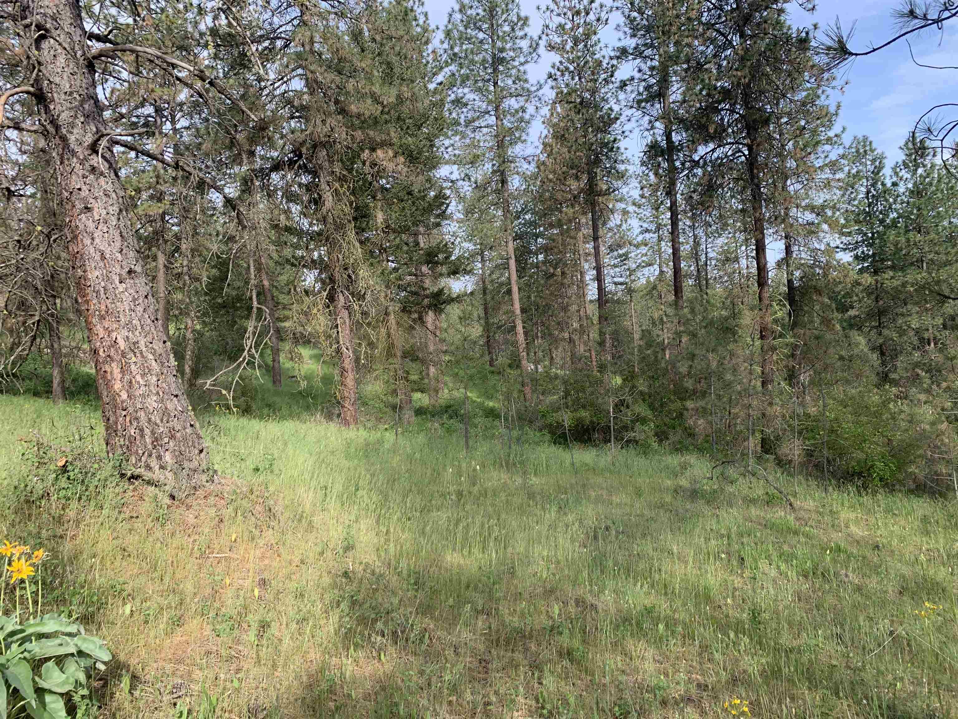 160-xx North Austin Road Spokane, WA 99208 - Photo 20 of 32