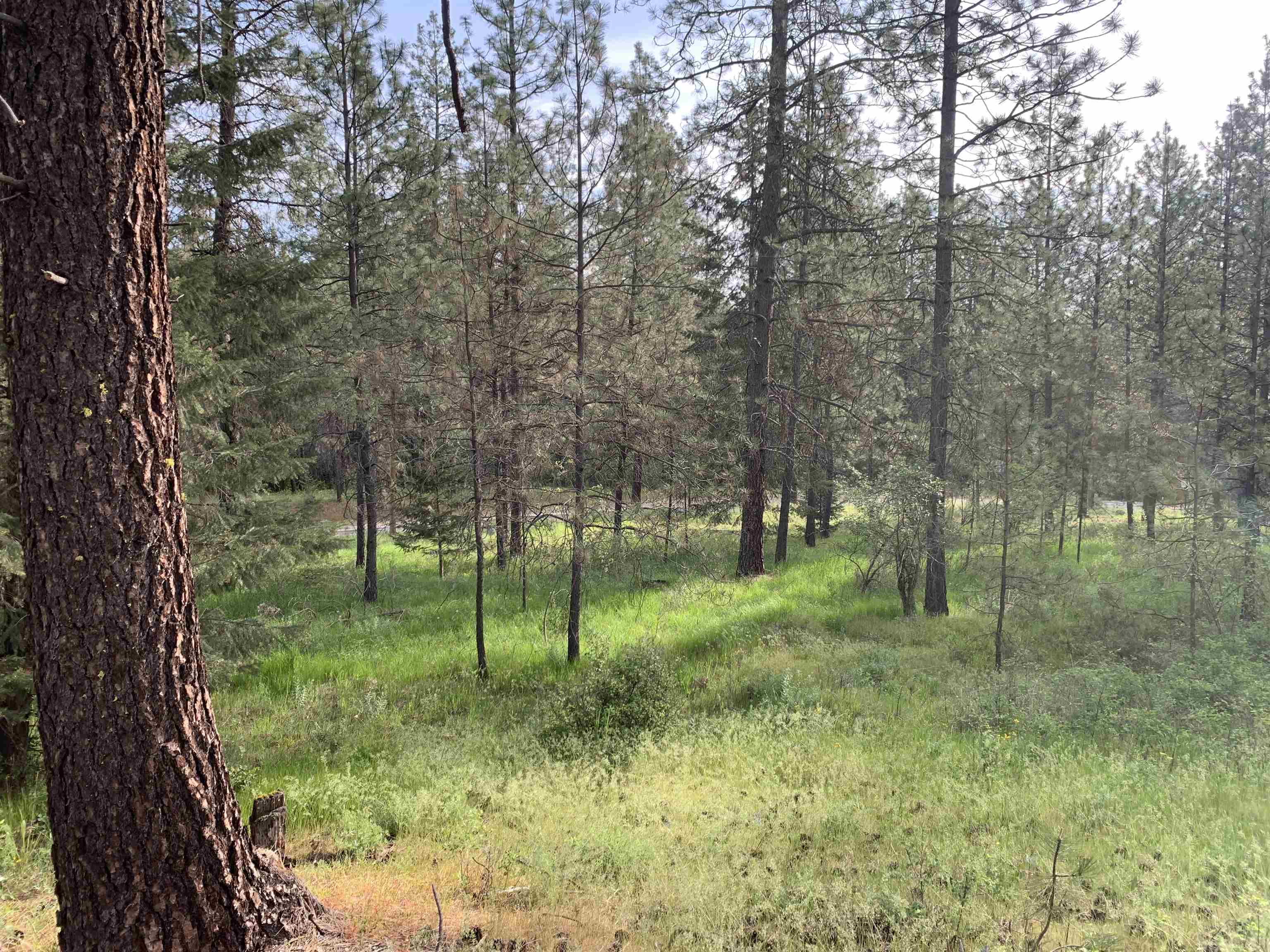 160-xx North Austin Road Spokane, WA 99208 - Photo 21 of 32
