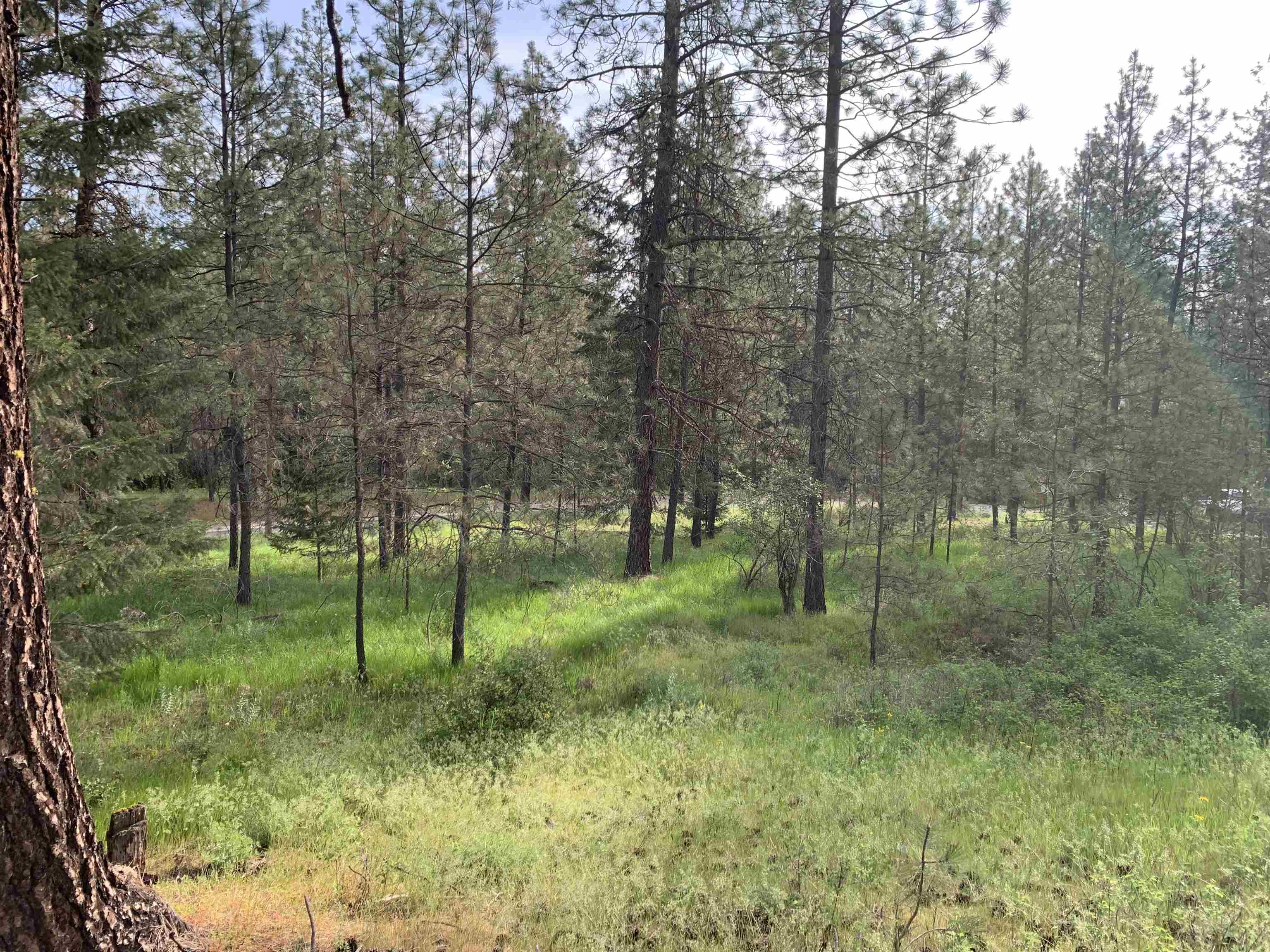 160-xx North Austin Road Spokane, WA 99208 - Photo 22 of 32