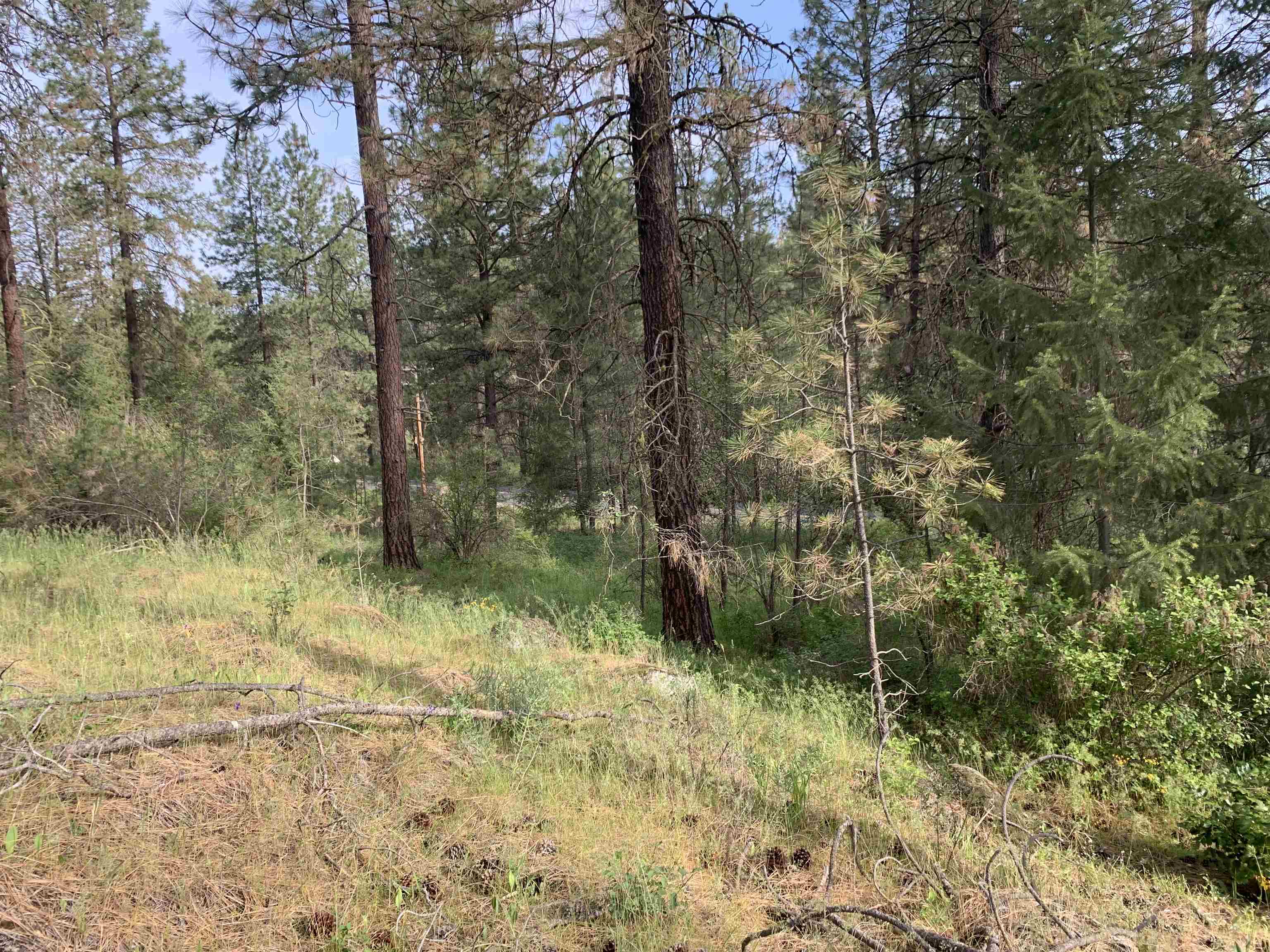 160-xx North Austin Road Spokane, WA 99208 - Photo 23 of 32