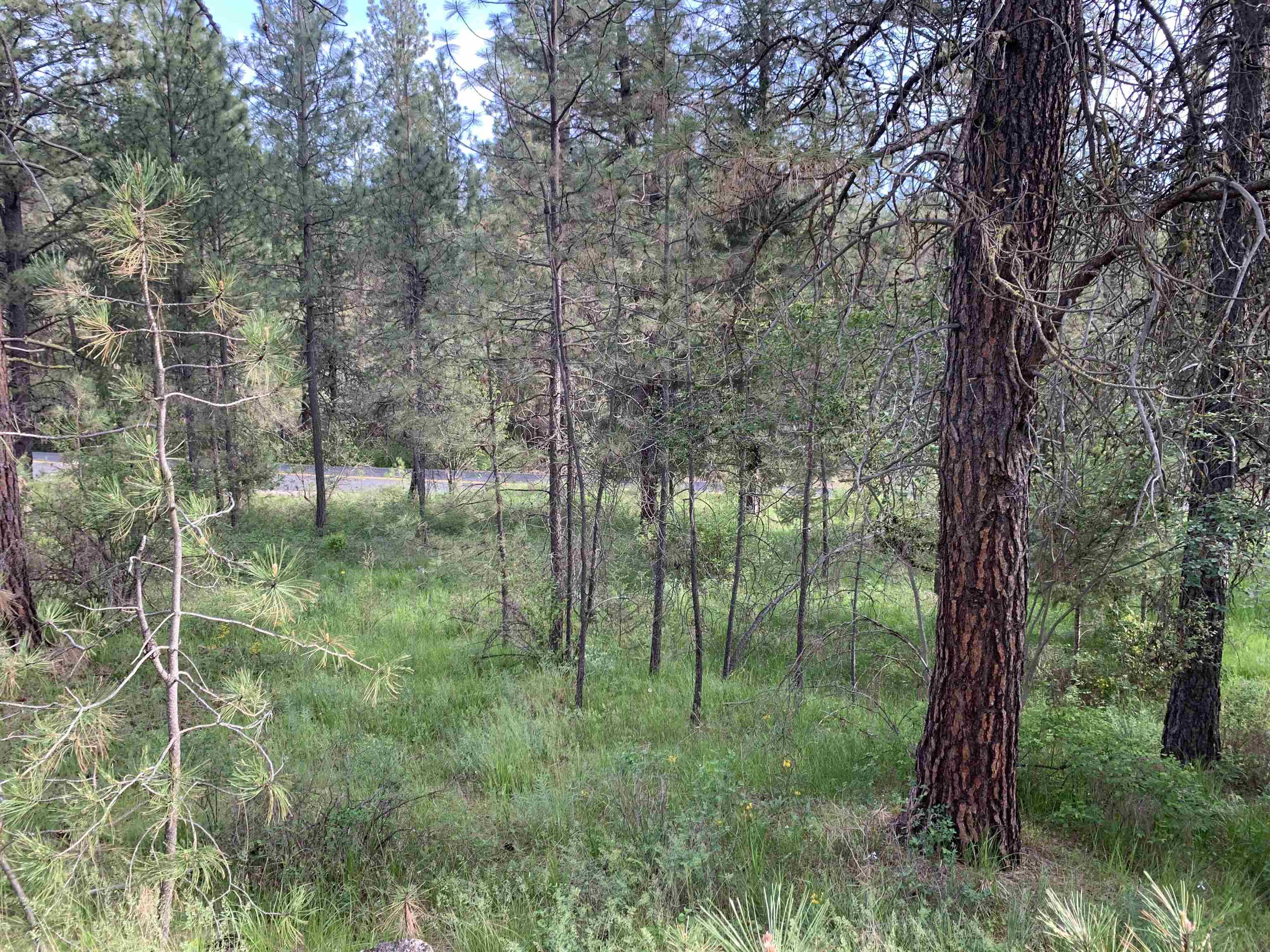 160-xx North Austin Road Spokane, WA 99208 - Photo 24 of 32