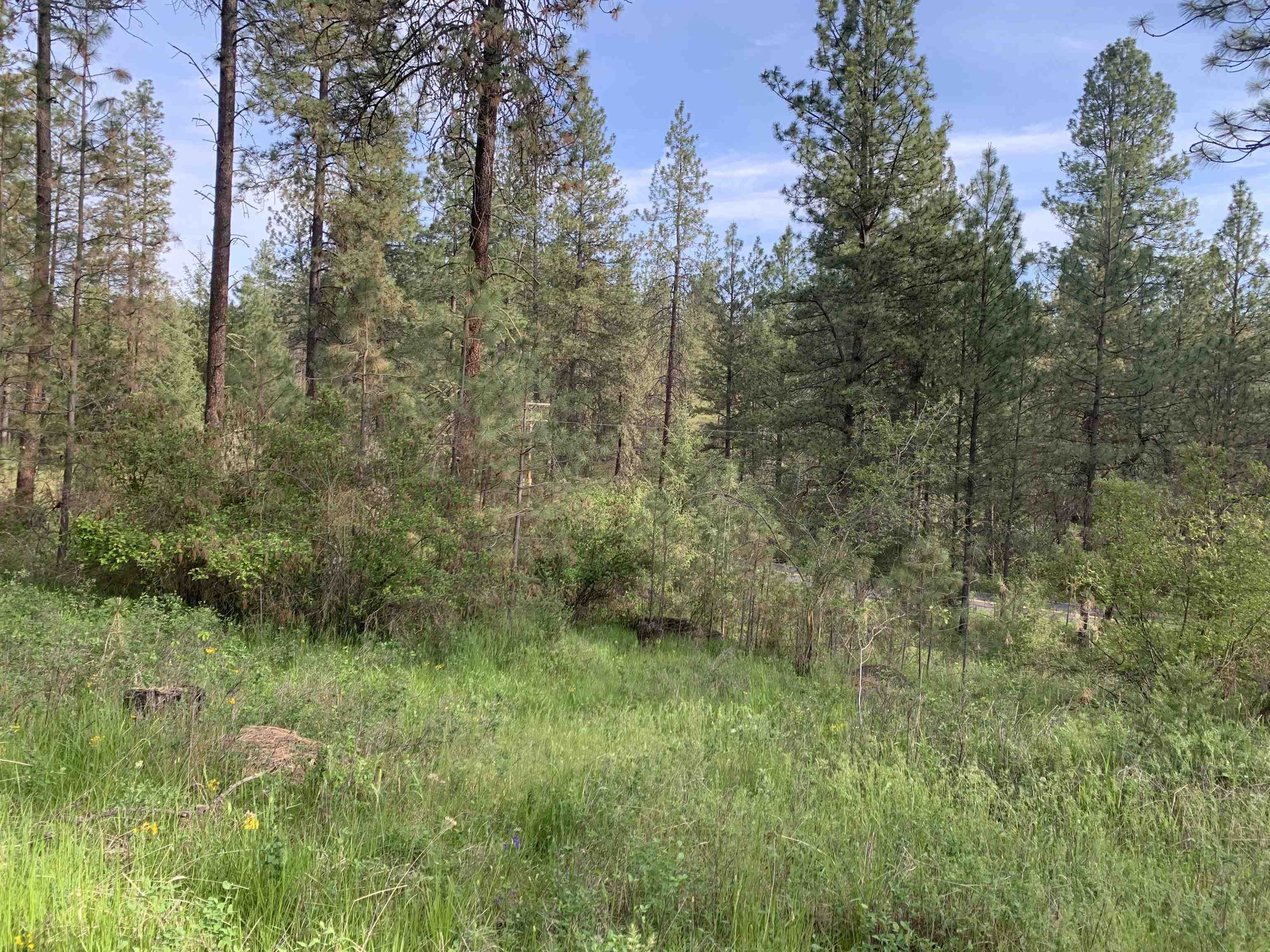 160-xx North Austin Road Spokane, WA 99208 - Photo 25 of 32