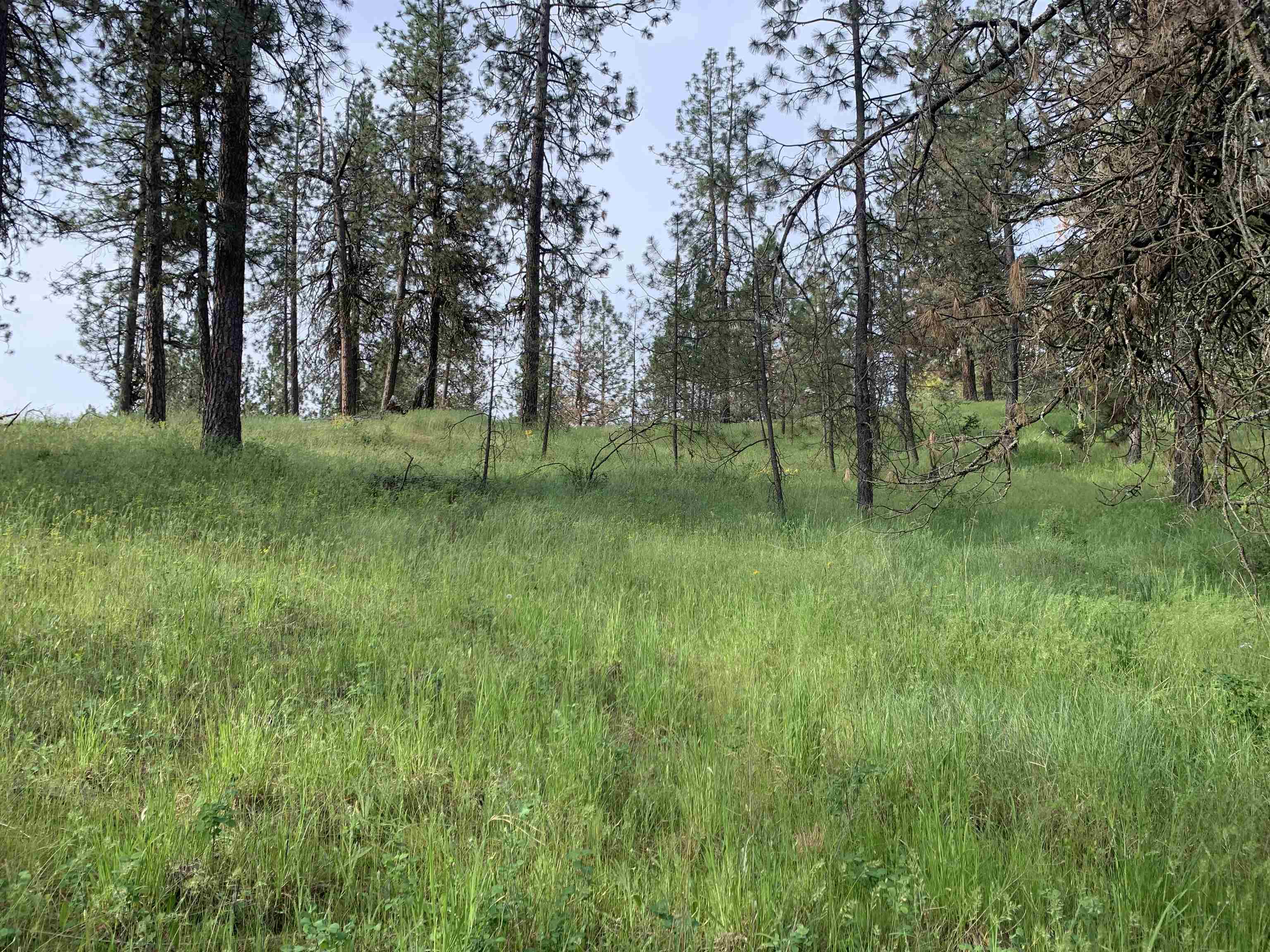 160-xx North Austin Road Spokane, WA 99208 - Photo 26 of 32