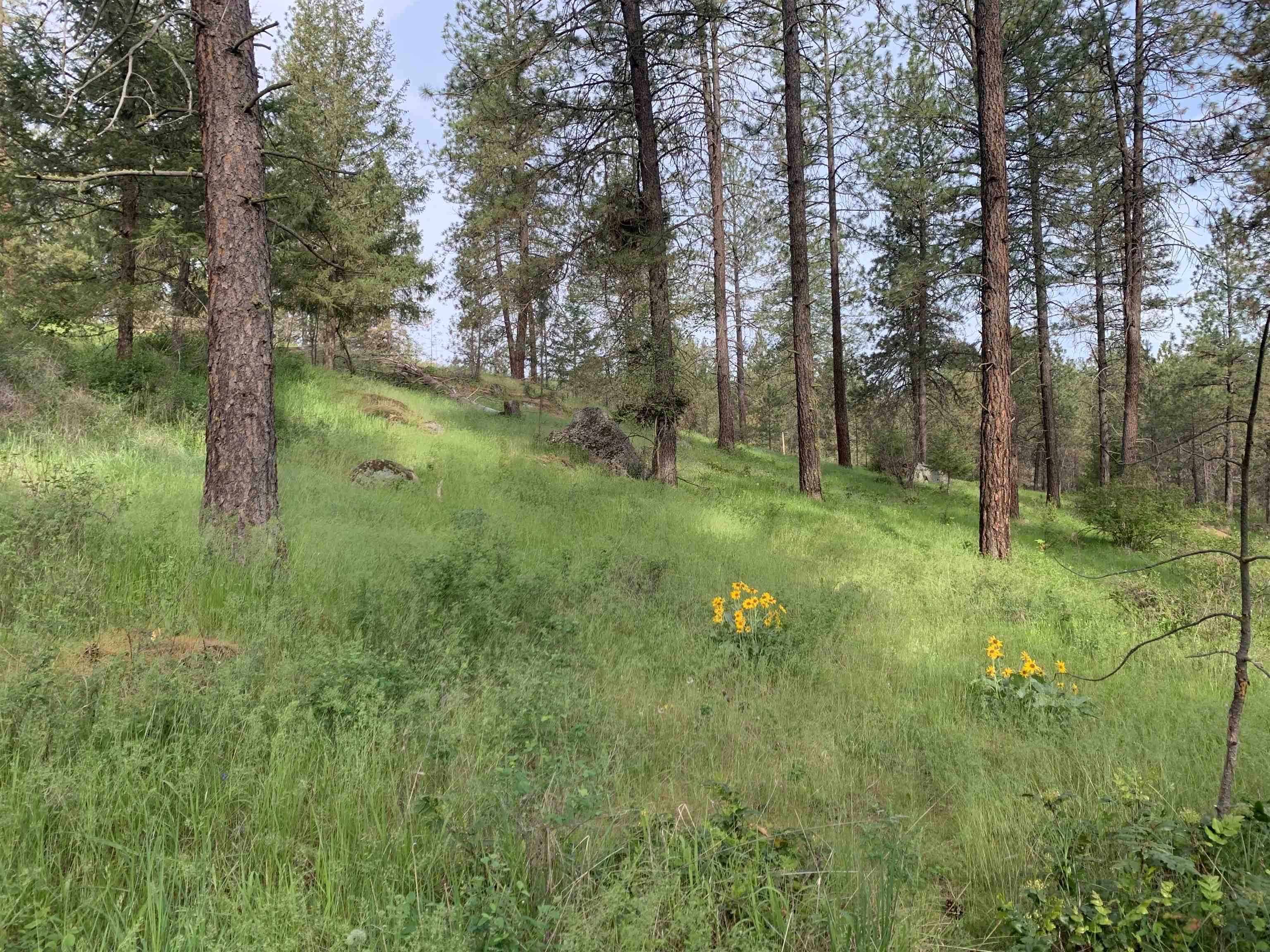 160-xx North Austin Road Spokane, WA 99208 - Photo 27 of 32