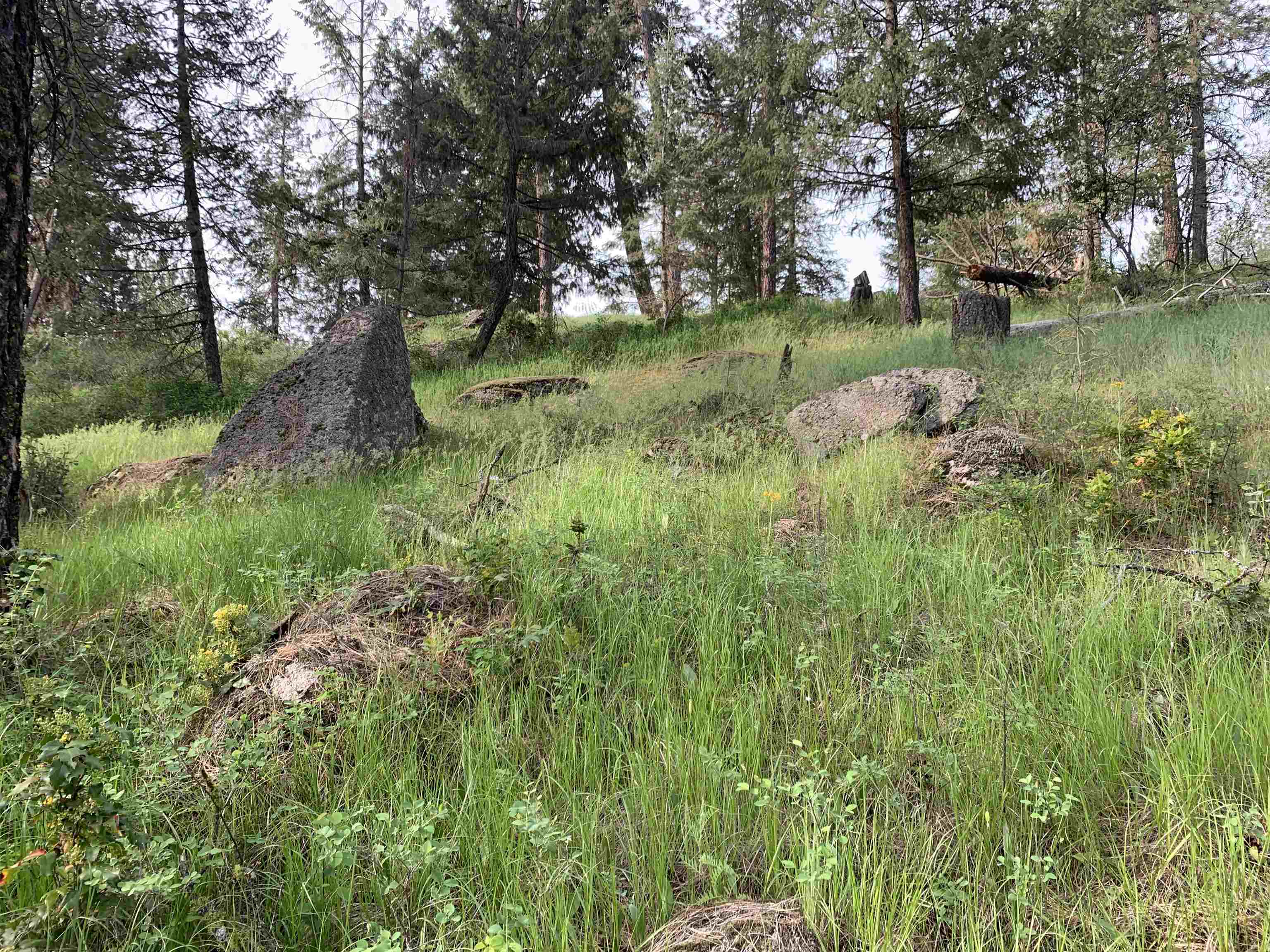 160-xx North Austin Road Spokane, WA 99208 - Photo 28 of 32