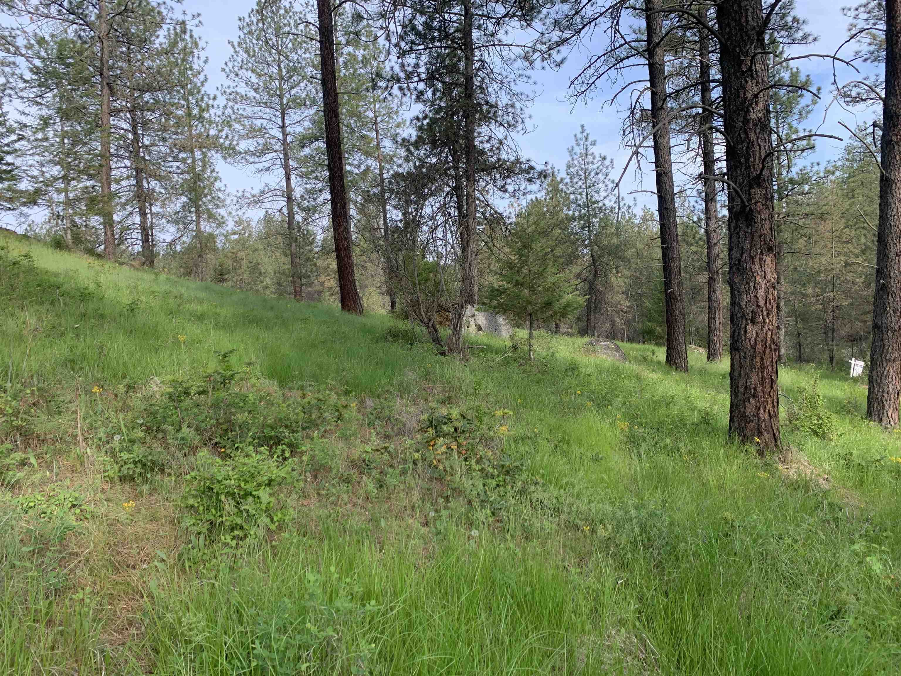 160-xx North Austin Road Spokane, WA 99208 - Photo 29 of 32