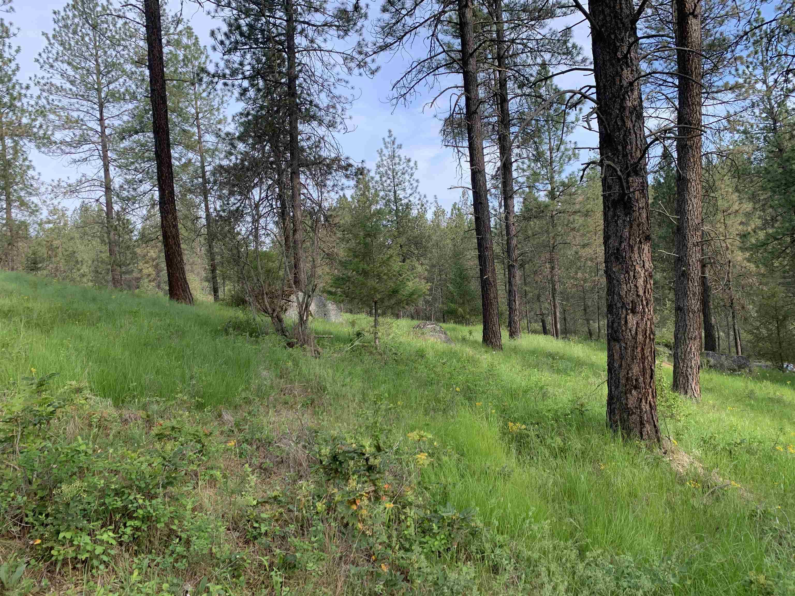 160-xx North Austin Road Spokane, WA 99208 - Photo 30 of 32
