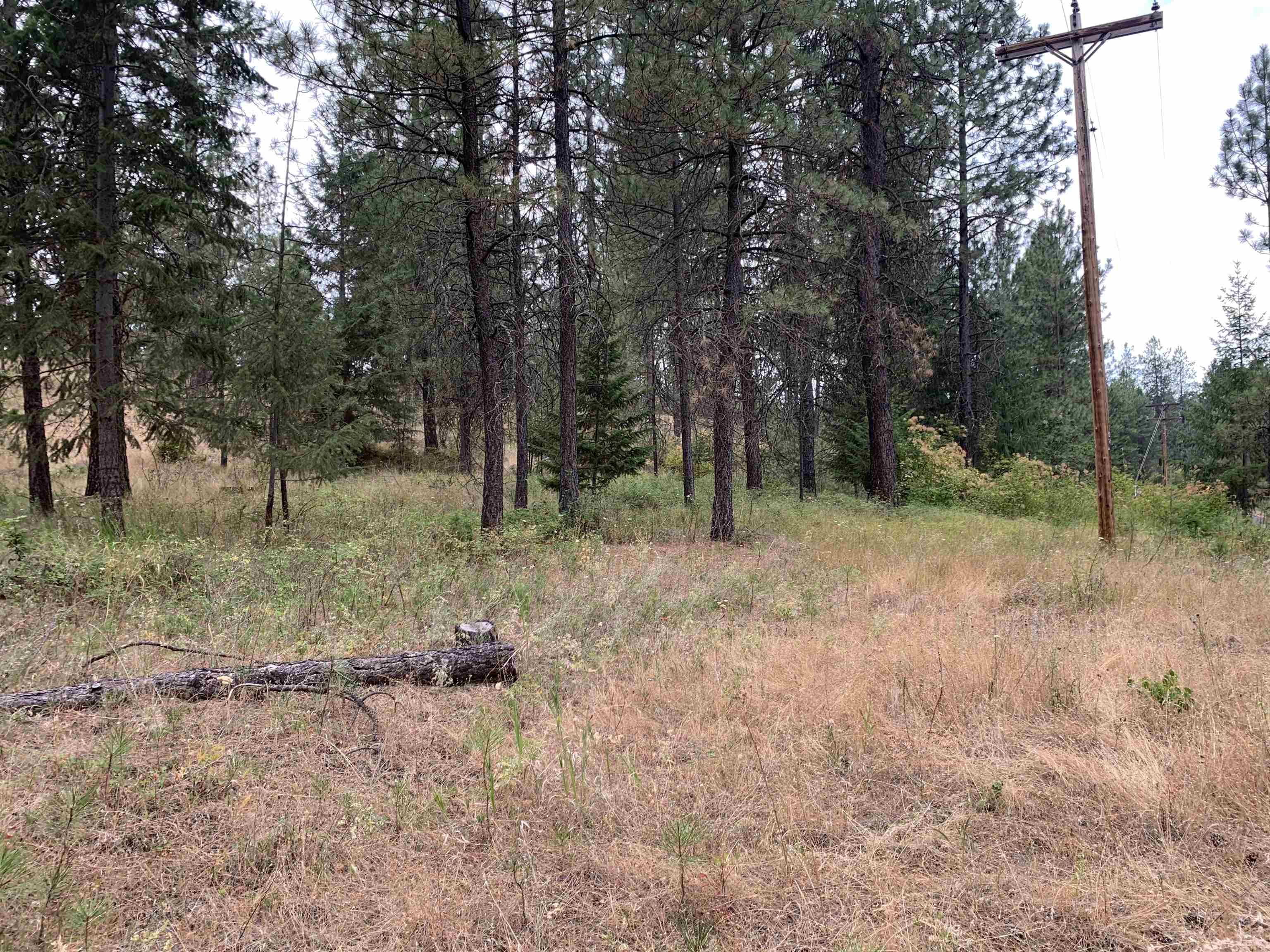 160-xx North Austin Road Spokane, WA 99208 - Photo 3 of 16