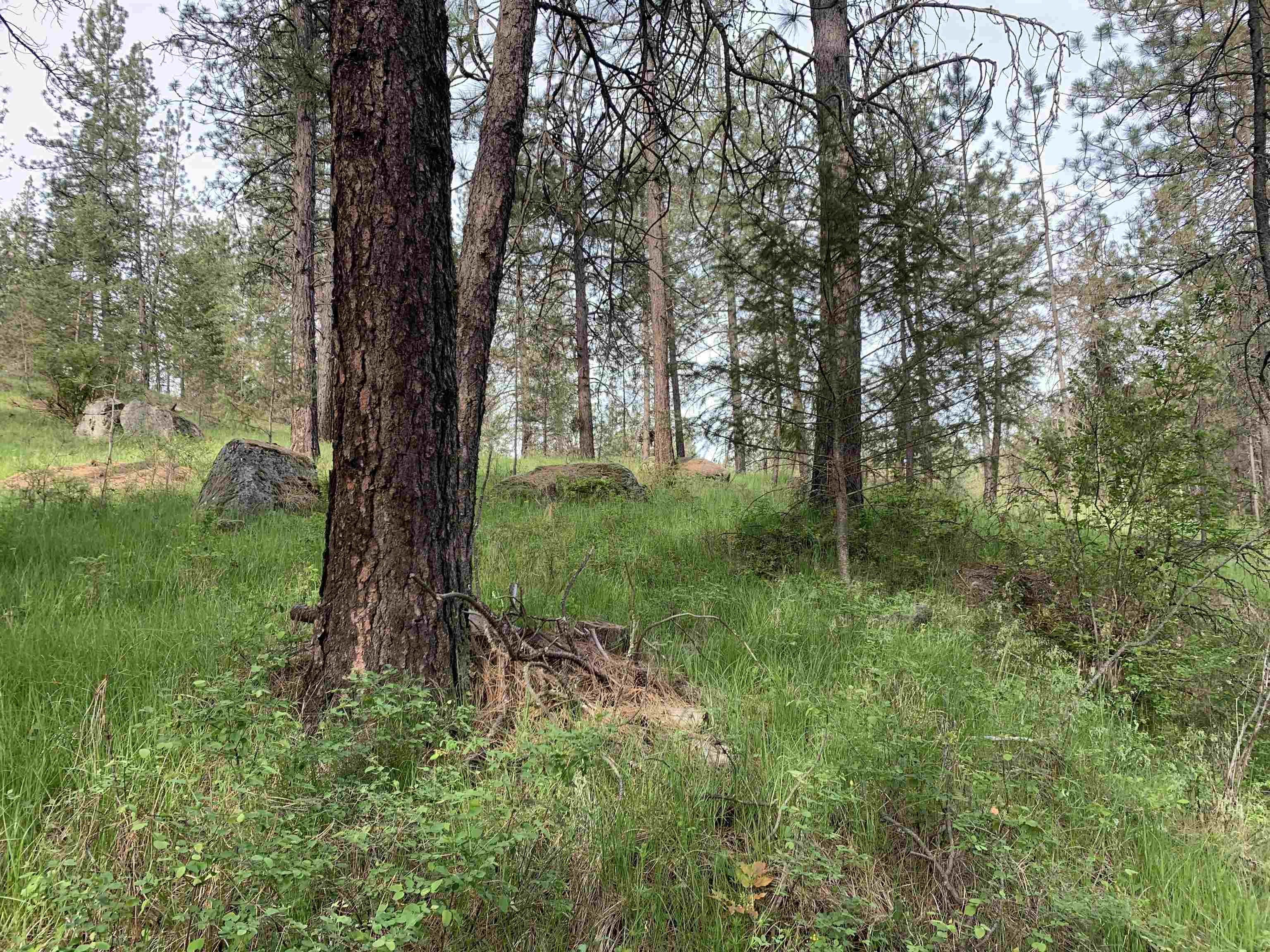 160-xx North Austin Road Spokane, WA 99208 - Photo 3 of 32