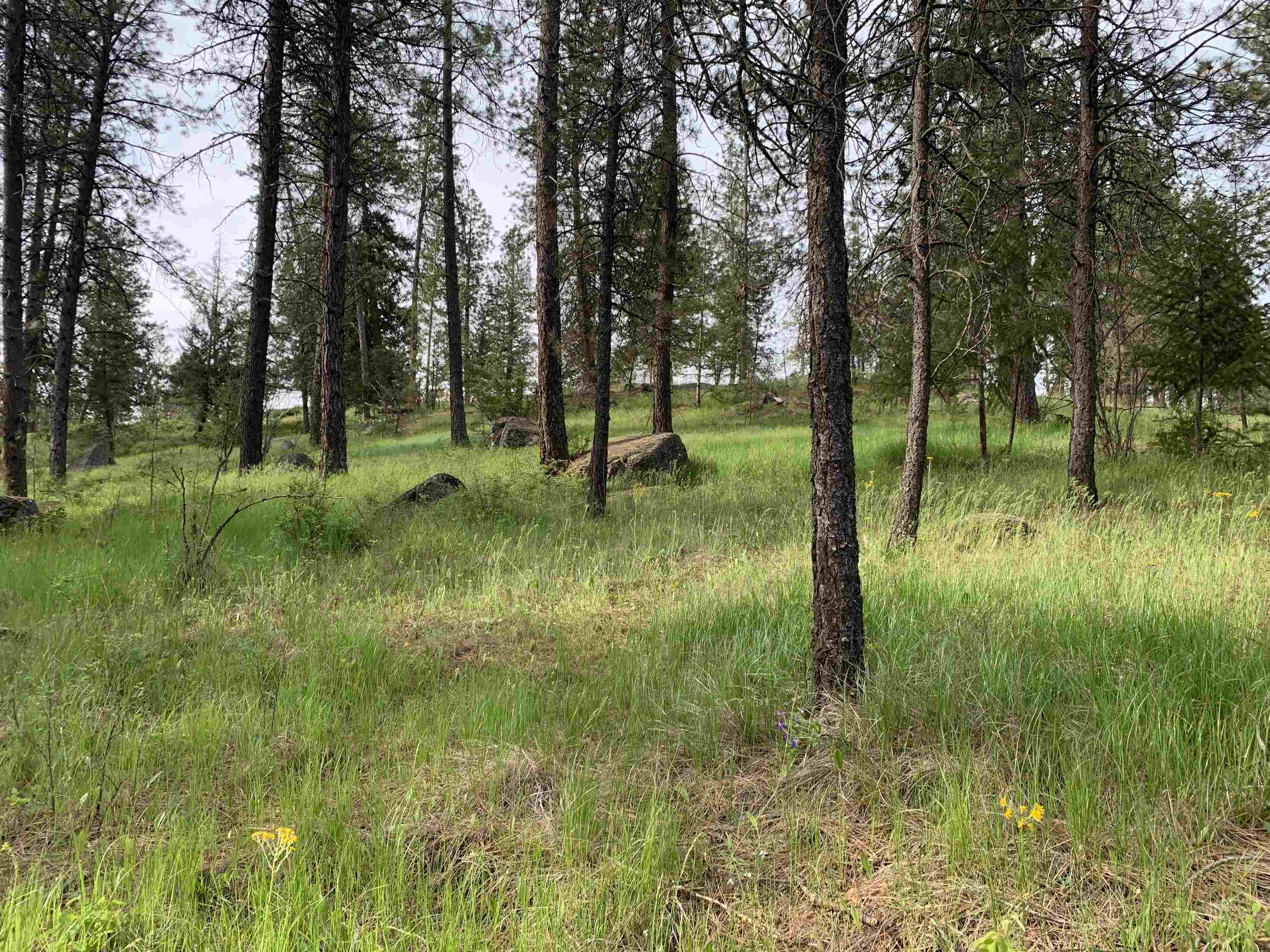 160-xx North Austin Road Spokane, WA 99208 - Photo 31 of 32