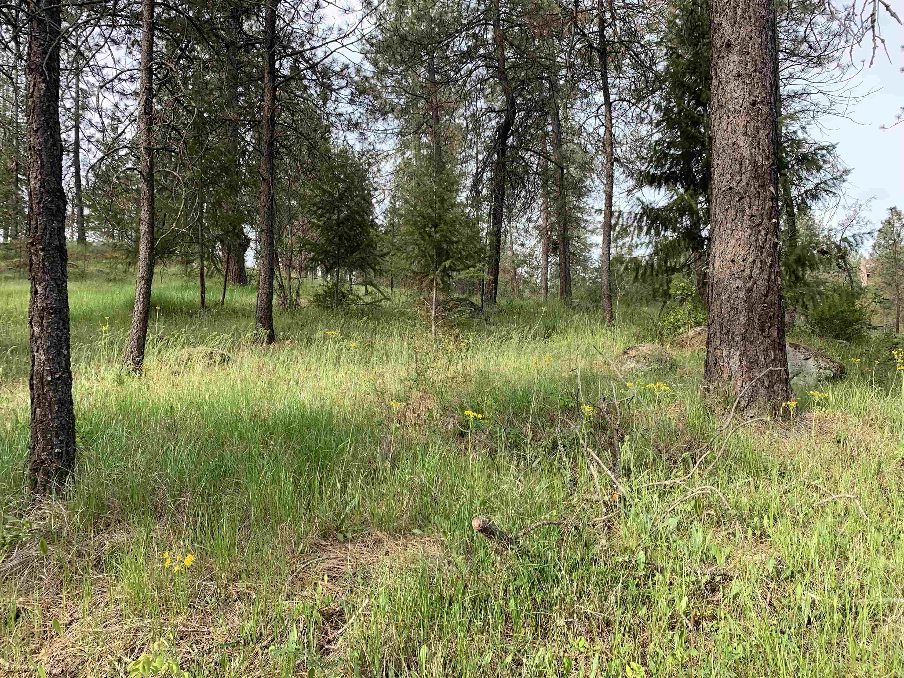 160-xx North Austin Road Spokane, WA 99208 - Photo 32 of 32
