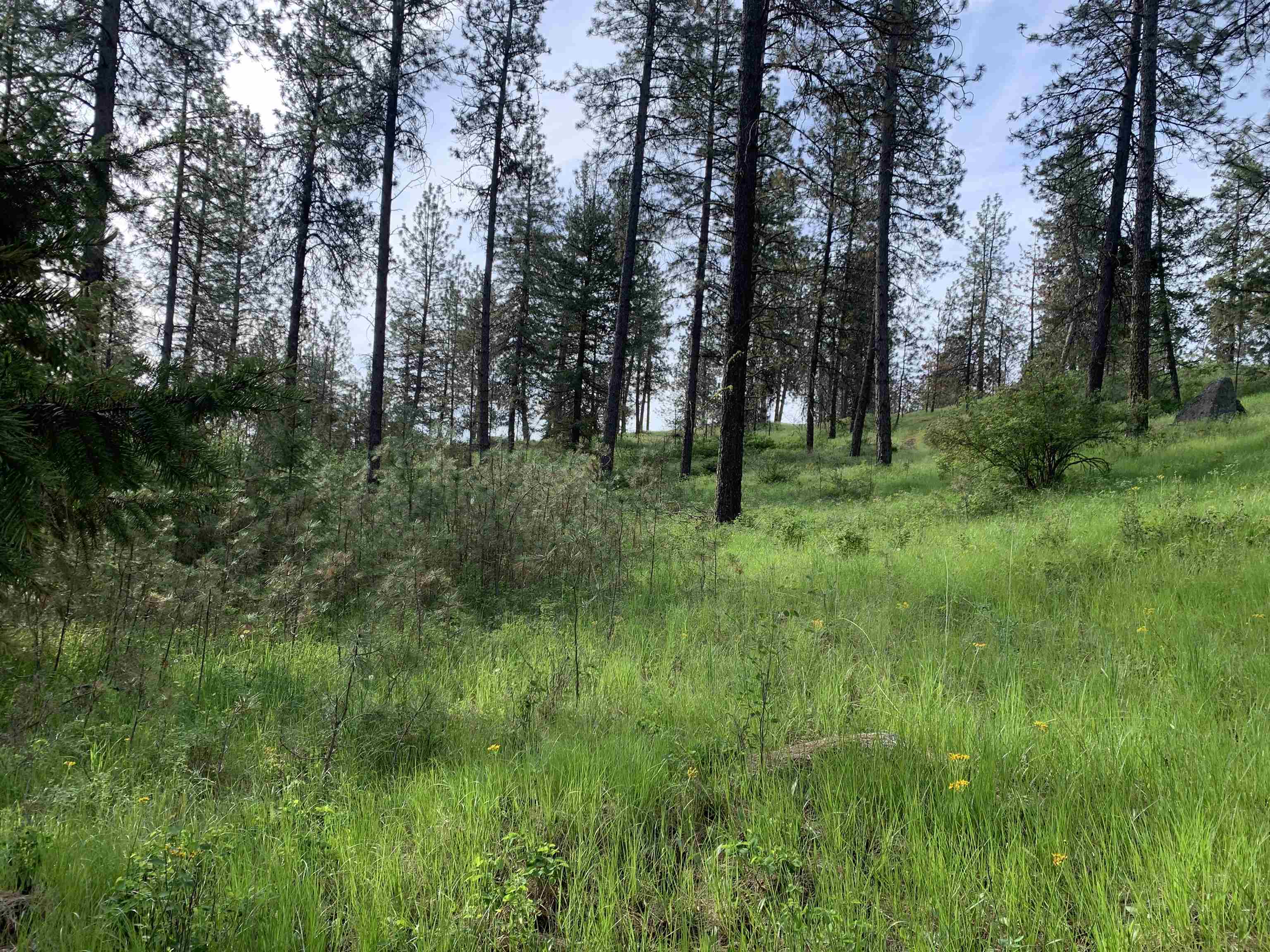 160-xx North Austin Road Spokane, WA 99208 - Photo 4 of 32