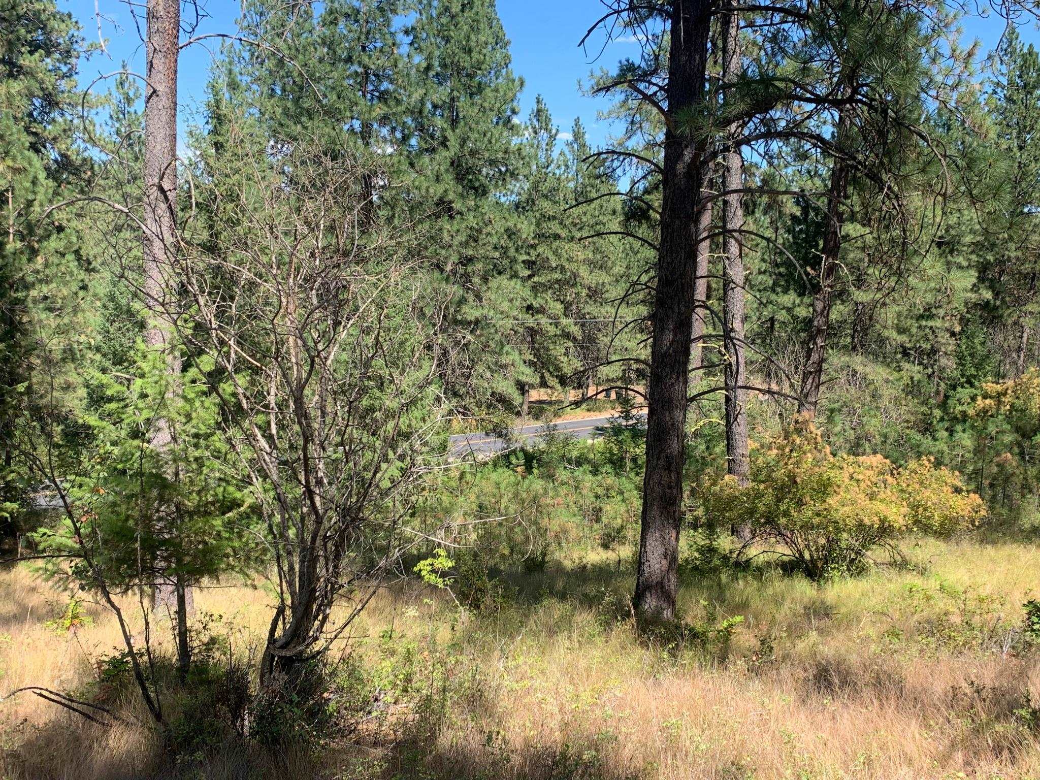 160-xx North Austin Road Spokane, WA 99208 - Photo 4 of 16