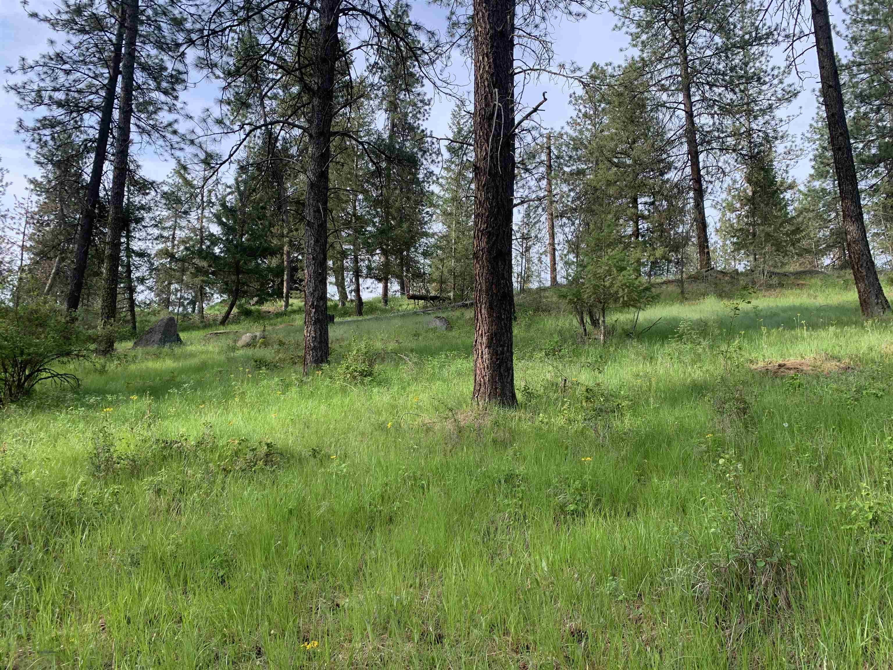 160-xx North Austin Road Spokane, WA 99208 - Photo 5 of 32