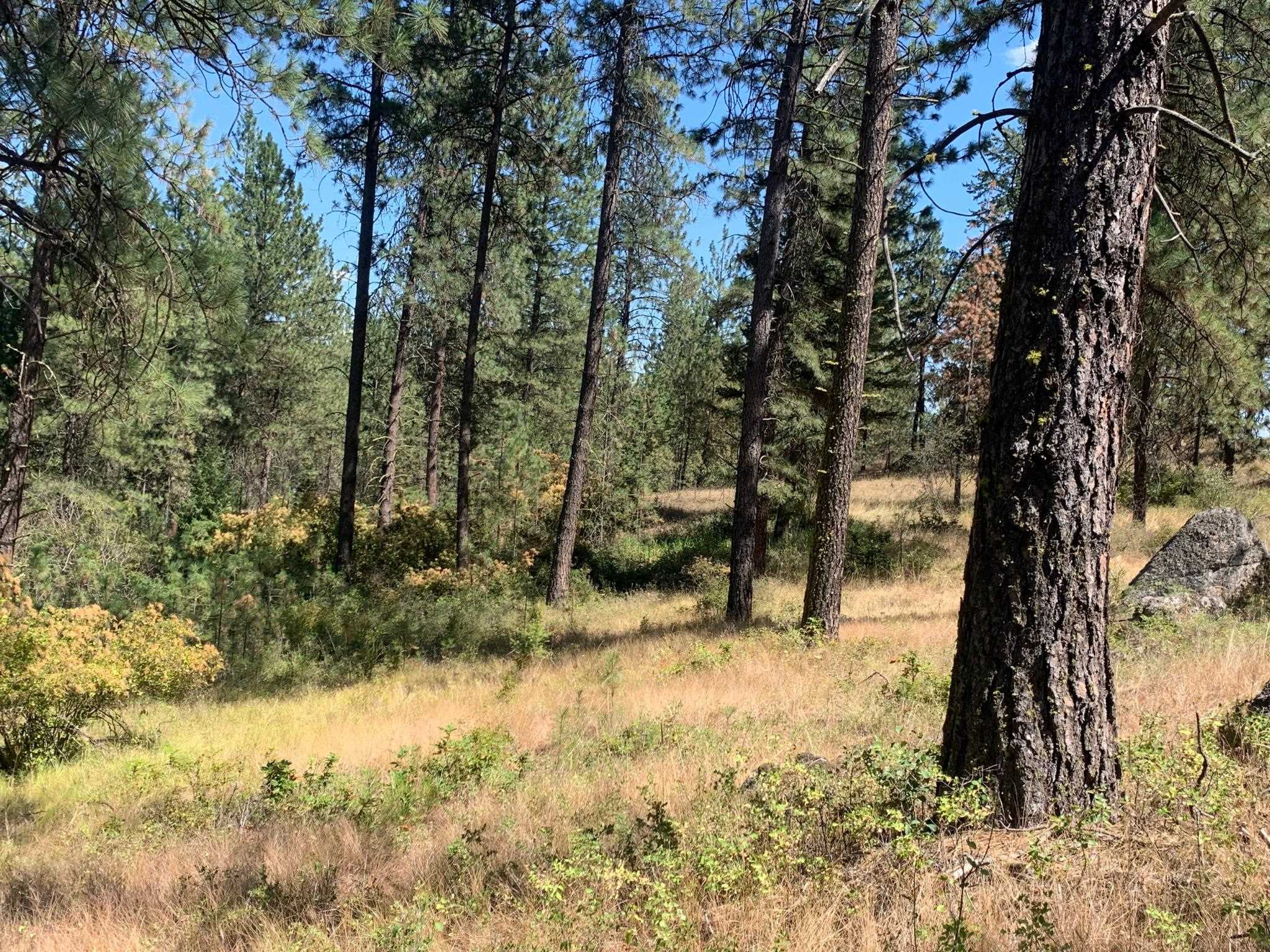 160-xx North Austin Road Spokane, WA 99208 - Photo 6 of 16