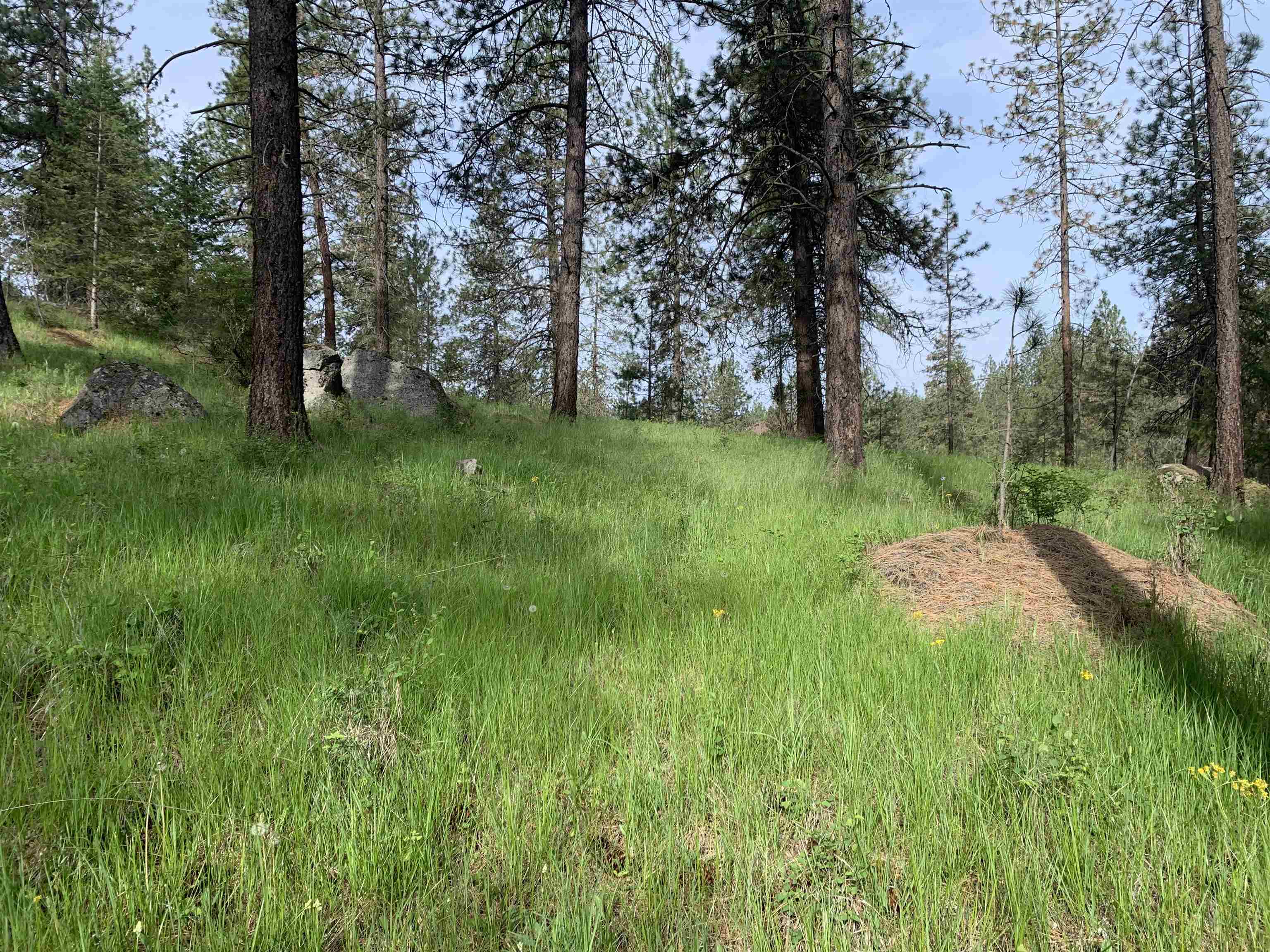 160-xx North Austin Road Spokane, WA 99208 - Photo 6 of 32