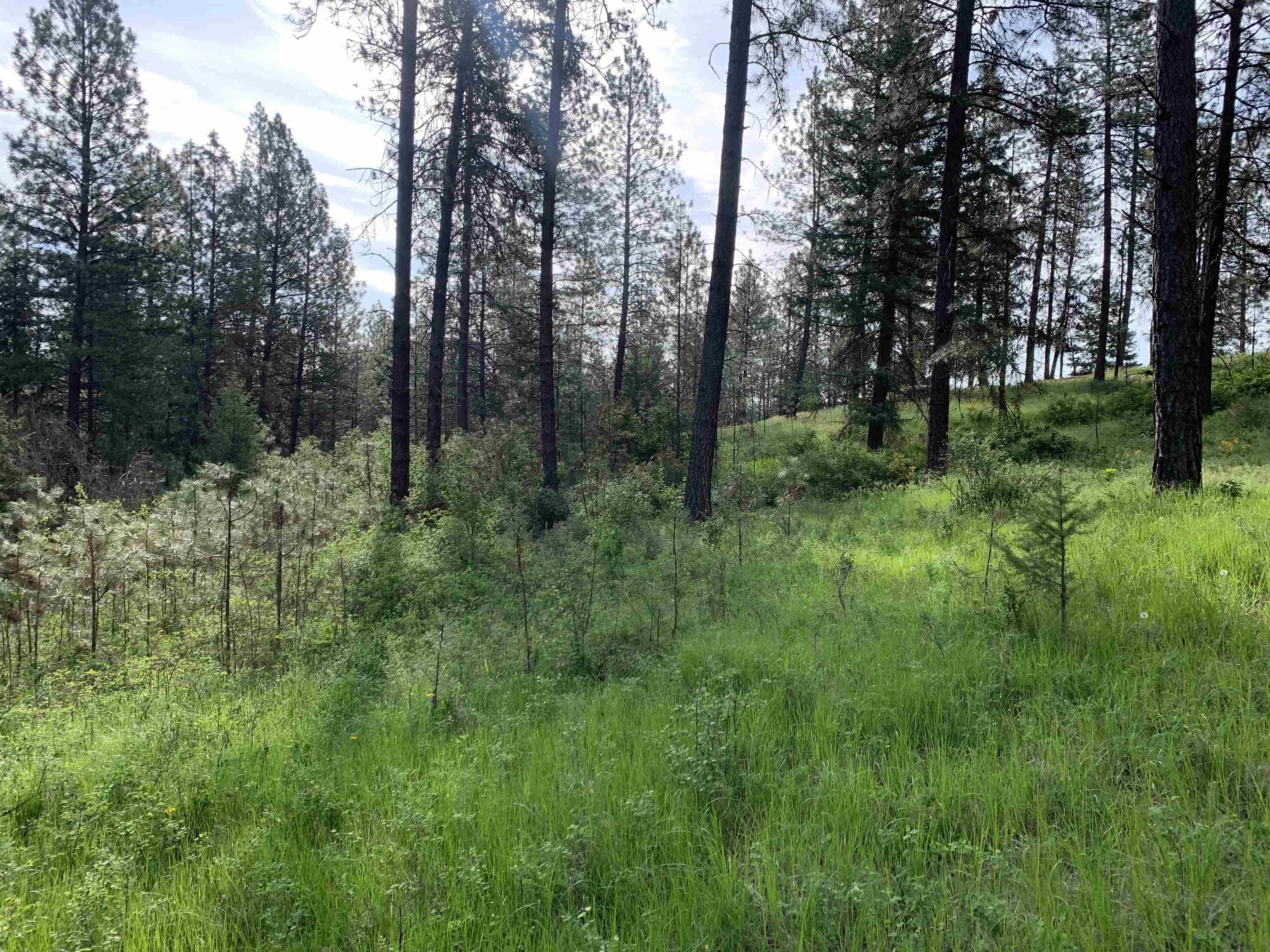 160-xx North Austin Road Spokane, WA 99208 - Photo 7 of 32