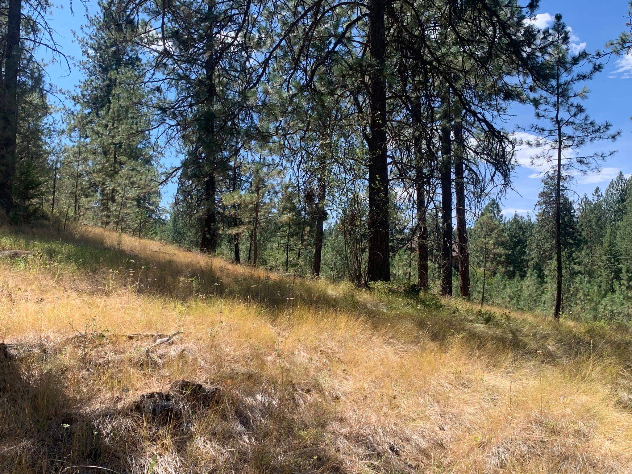 160-xx North Austin Road Spokane, WA 99208 - Photo 8 of 16