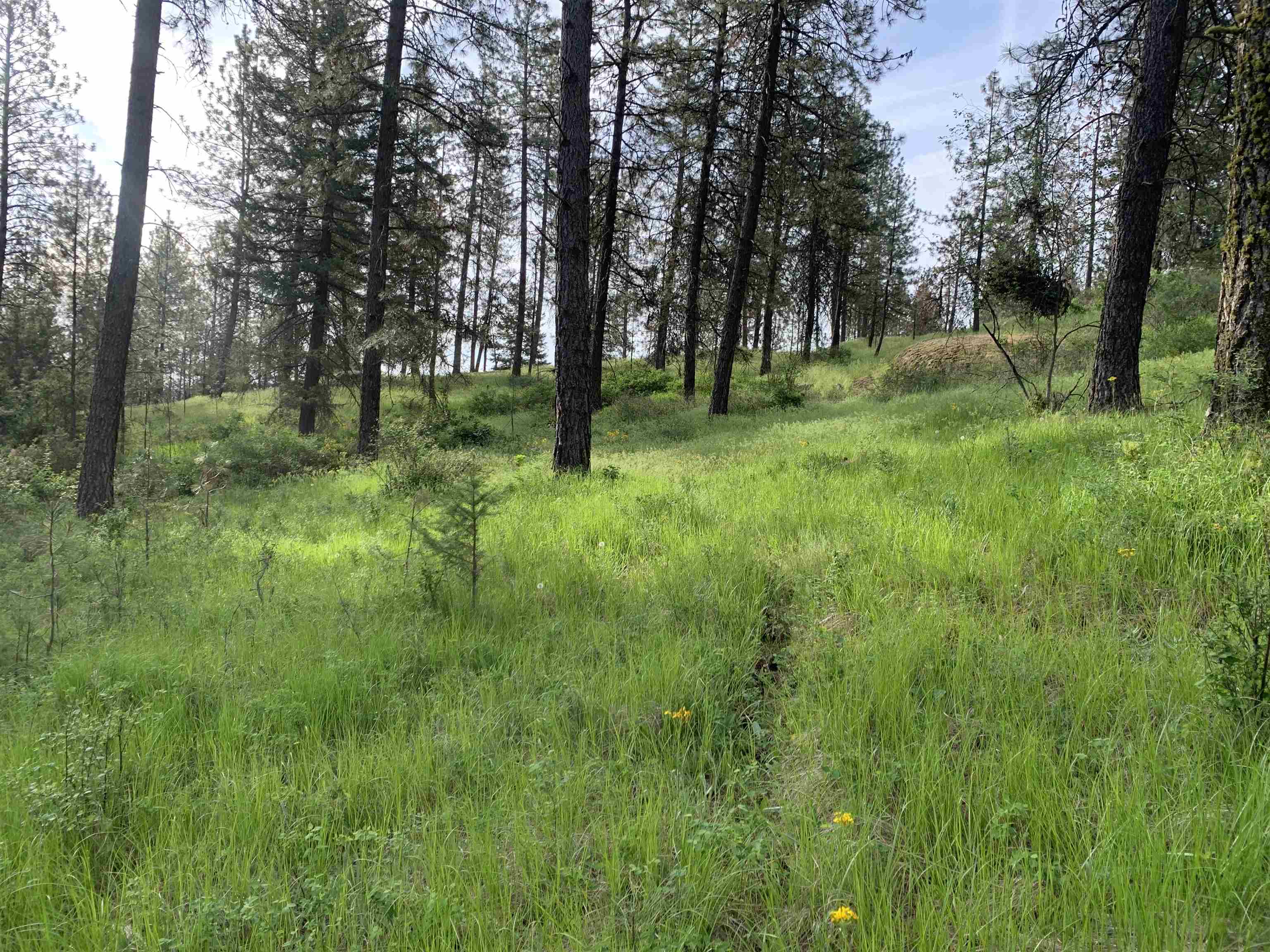 160-xx North Austin Road Spokane, WA 99208 - Photo 8 of 32
