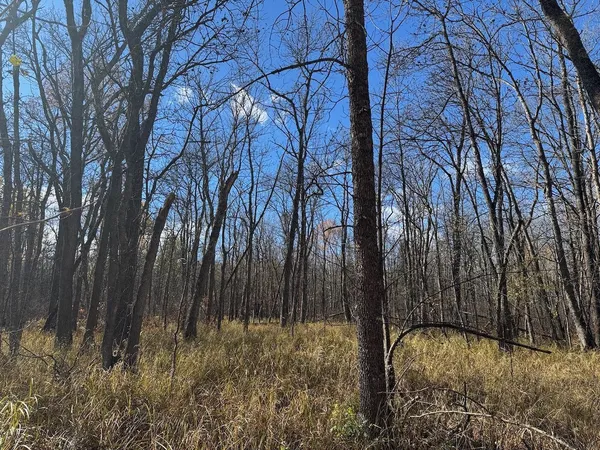 $195,000 | Tbd Spangrud Court Northeast, Kelliher, MN 56650