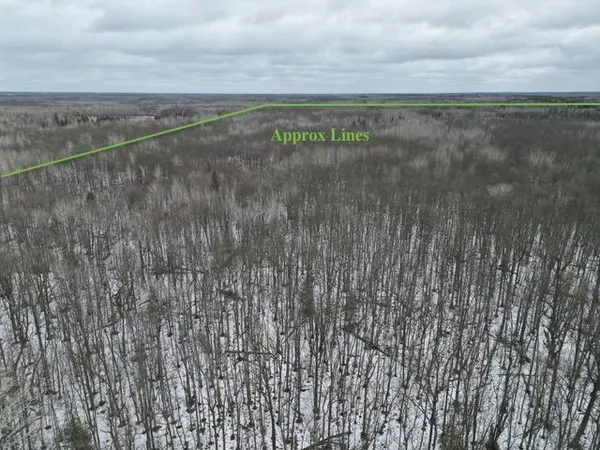 $195,000 | Tbd Spangrud Court Northeast, Kelliher, MN 56650